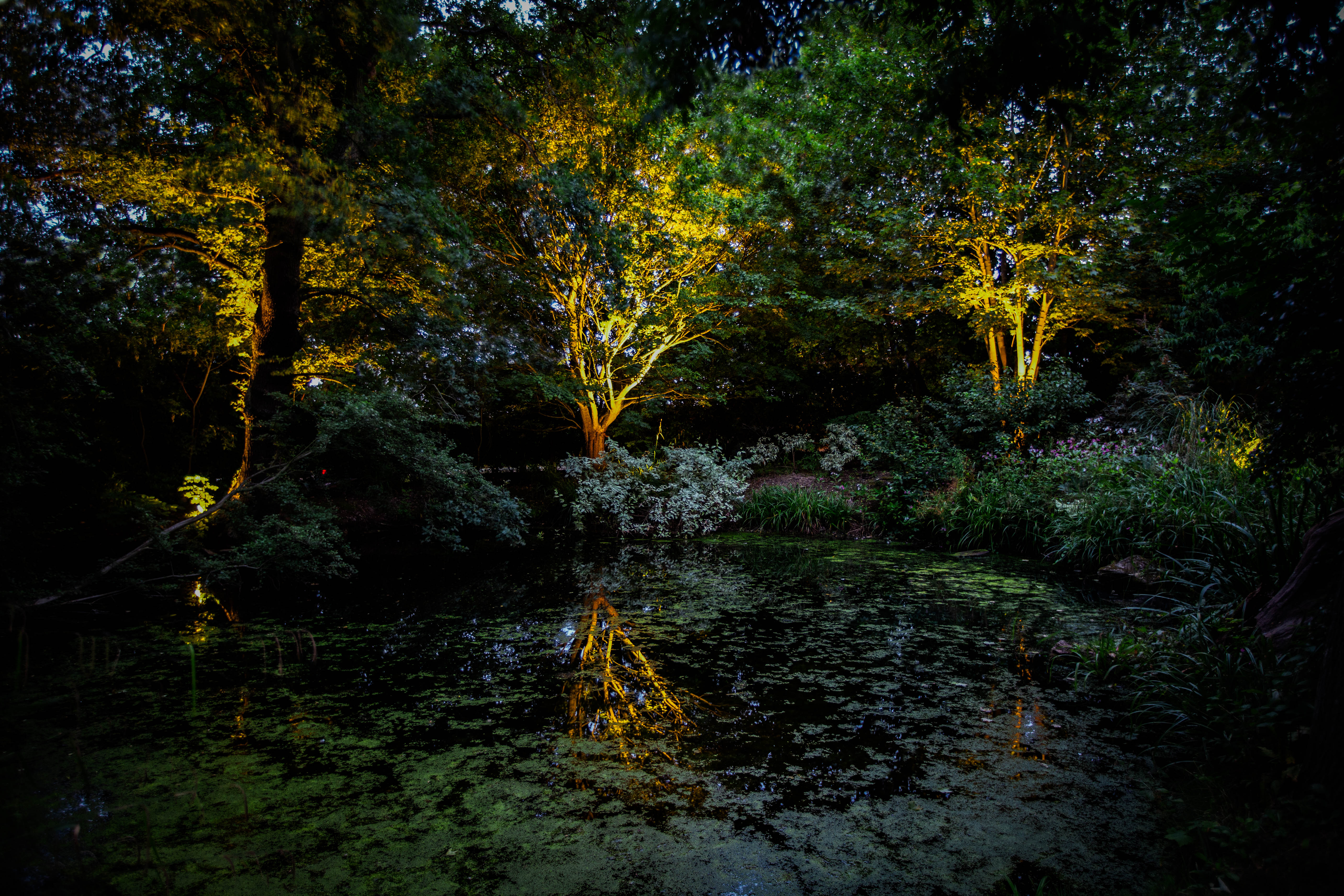 How Our Design Service Works