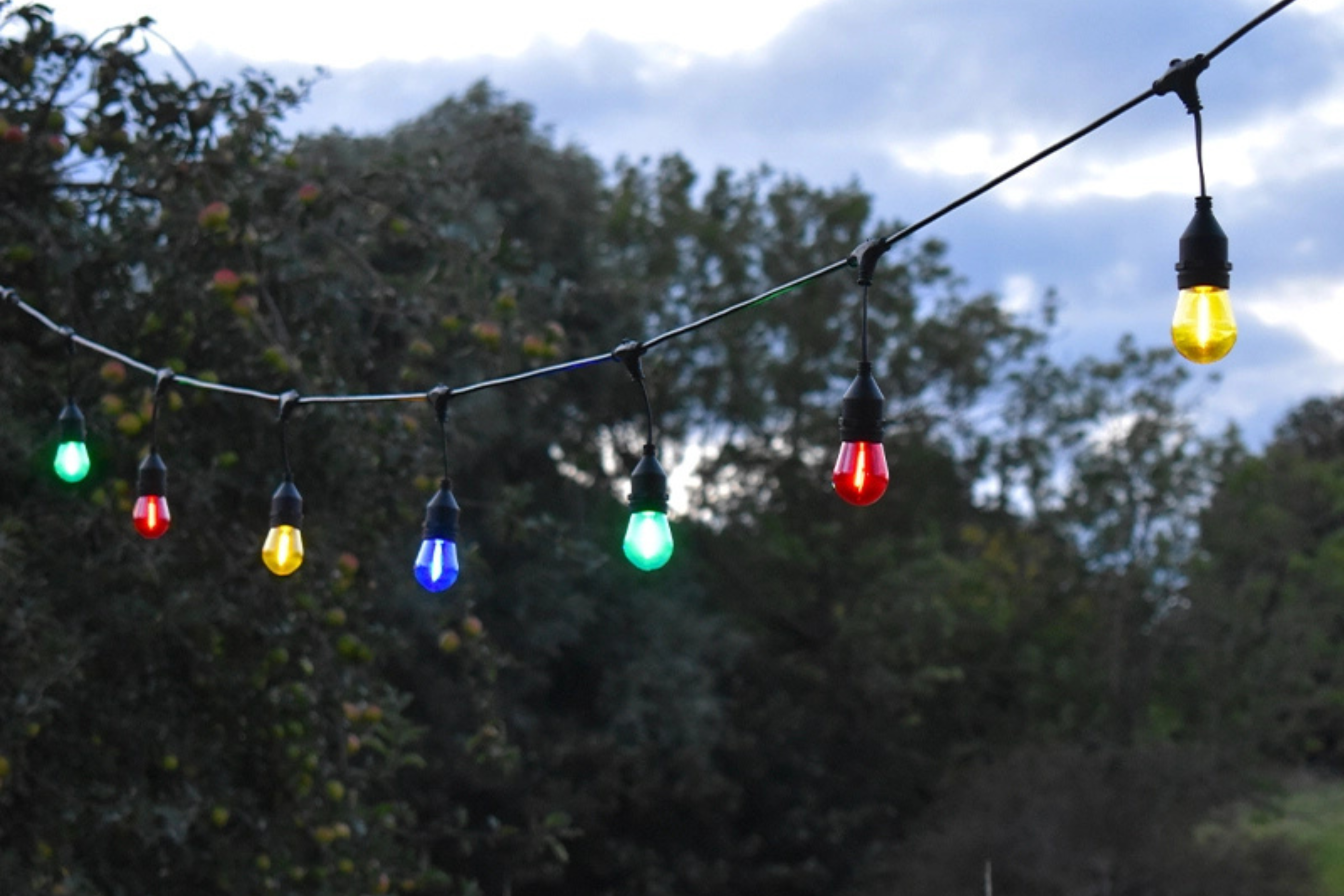 Festoon Lights