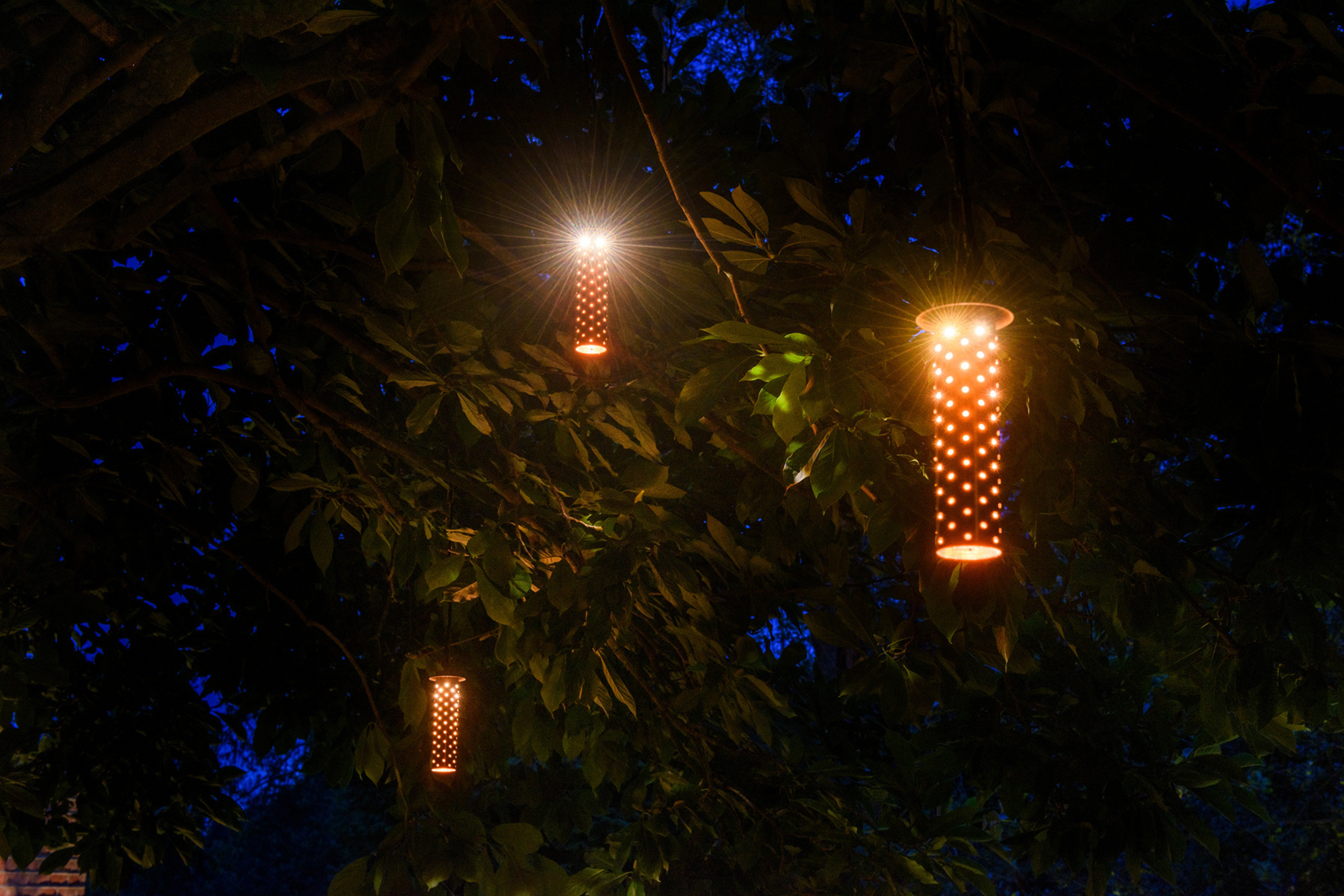 Tree Lights