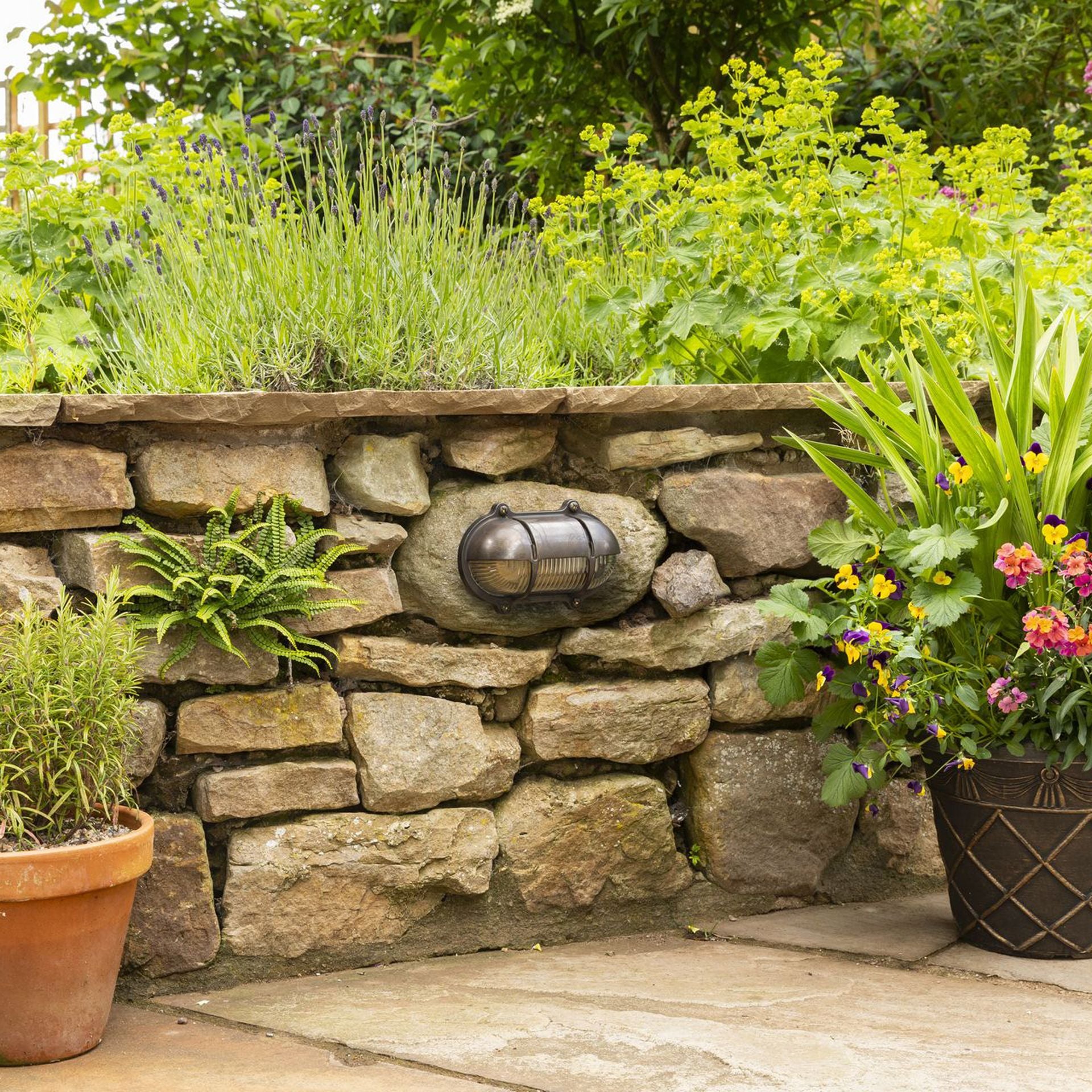 Navigator Decorative Eyelid Bulkhead Wall Light - Antique Brass