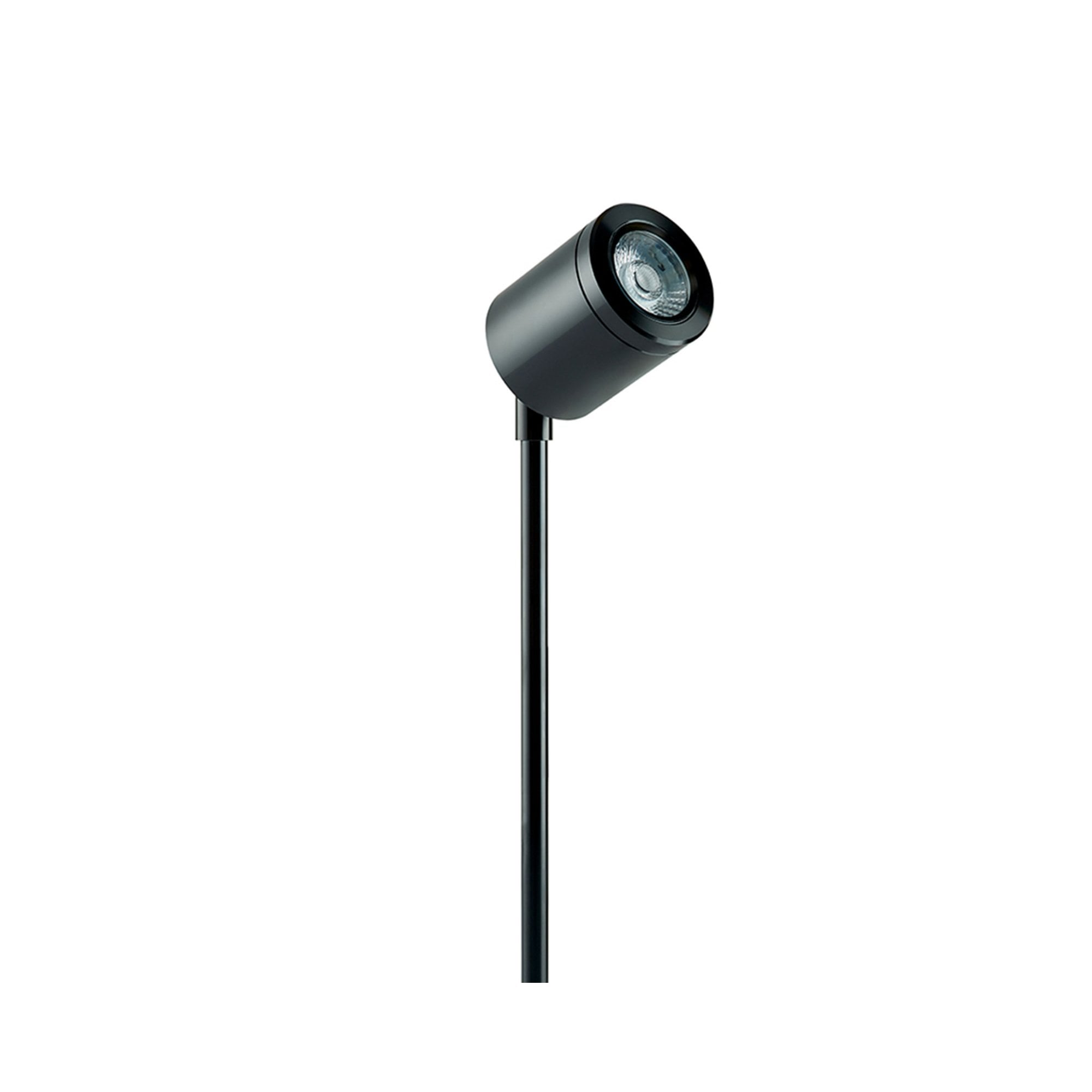 Collingwood SL220 LED Spike Light - Black - Straight to Mains
