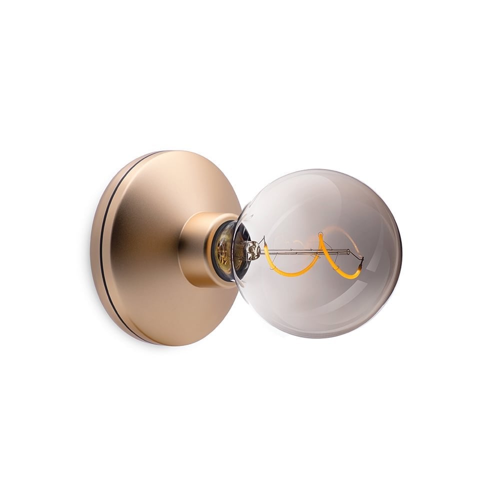 Humble Bee Wall Light - Gold & Smoked Bulb