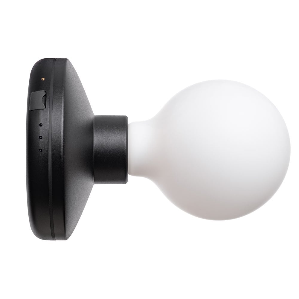 Humble Bee Wall Light - Black & Frosted Bulb