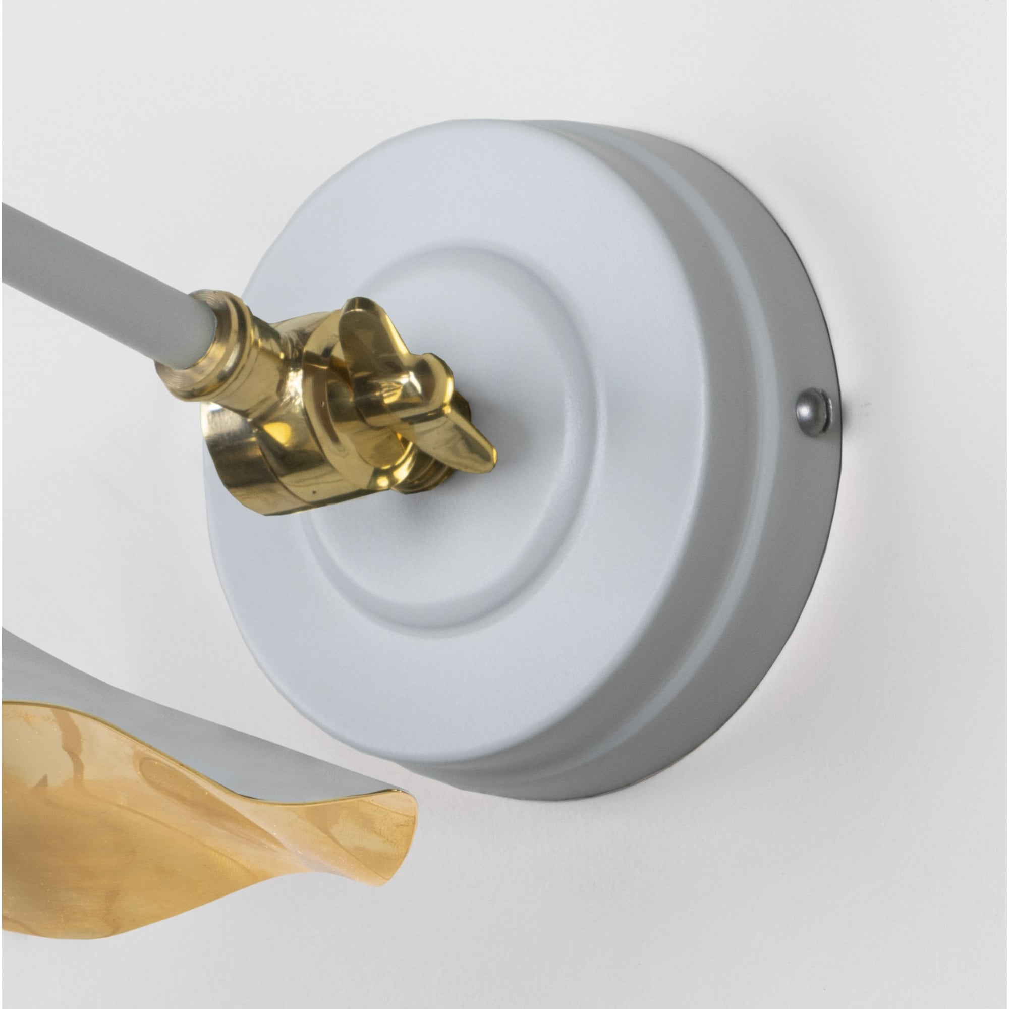 From The Anvil Smooth Brass Flora Wall Light - Birch (Pale Grey)