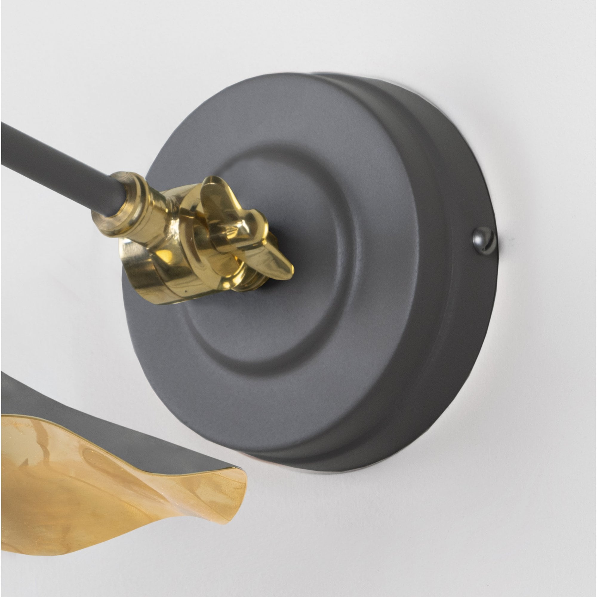 From The Anvil Smooth Brass Flora Wall Light - Bluff (Warm Grey)