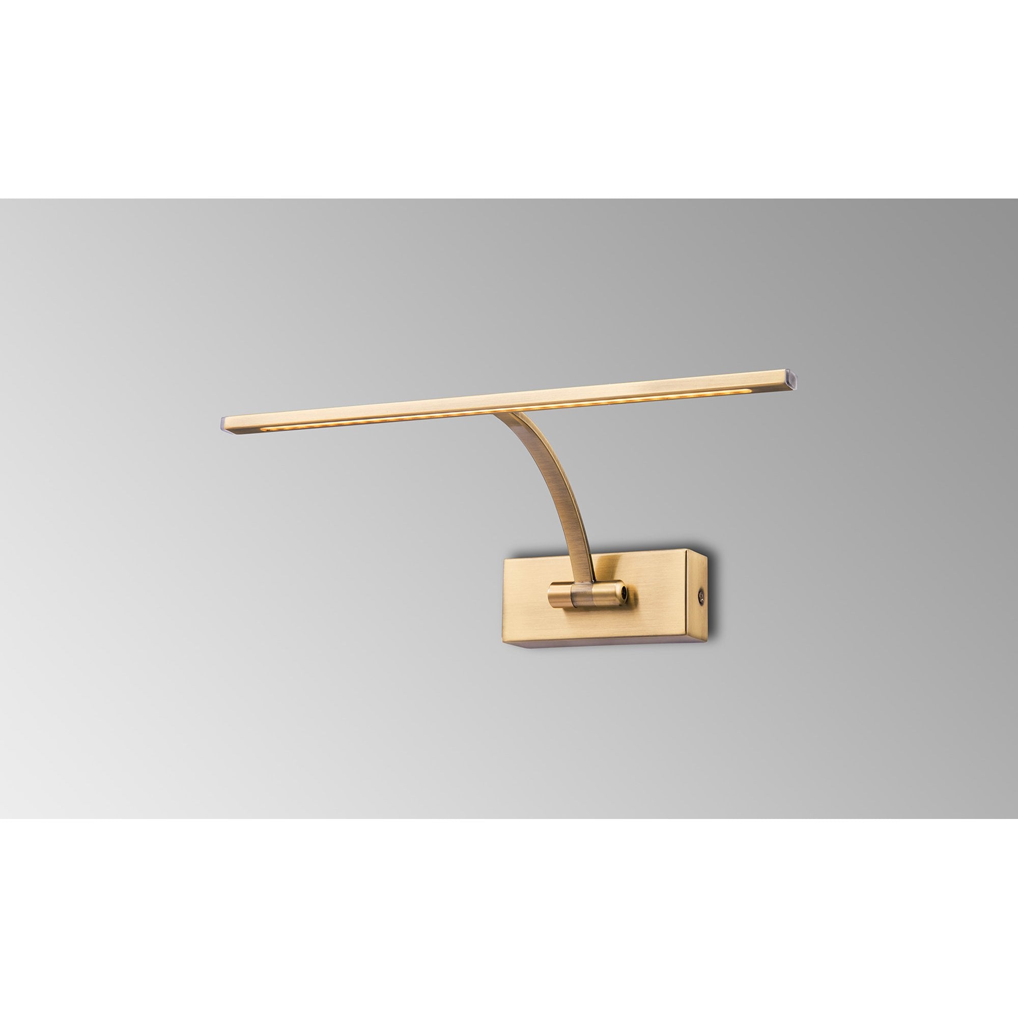 Fabula Plumtree Small 1 Arm LED Wall Lamp/Picture Light - Antique Brass