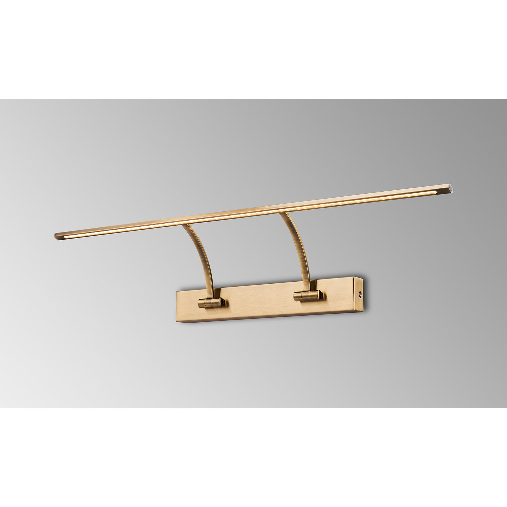 Fabula Plumtree Small 2 Arm LED Wall Lamp/Picture Light - Antique Brass
