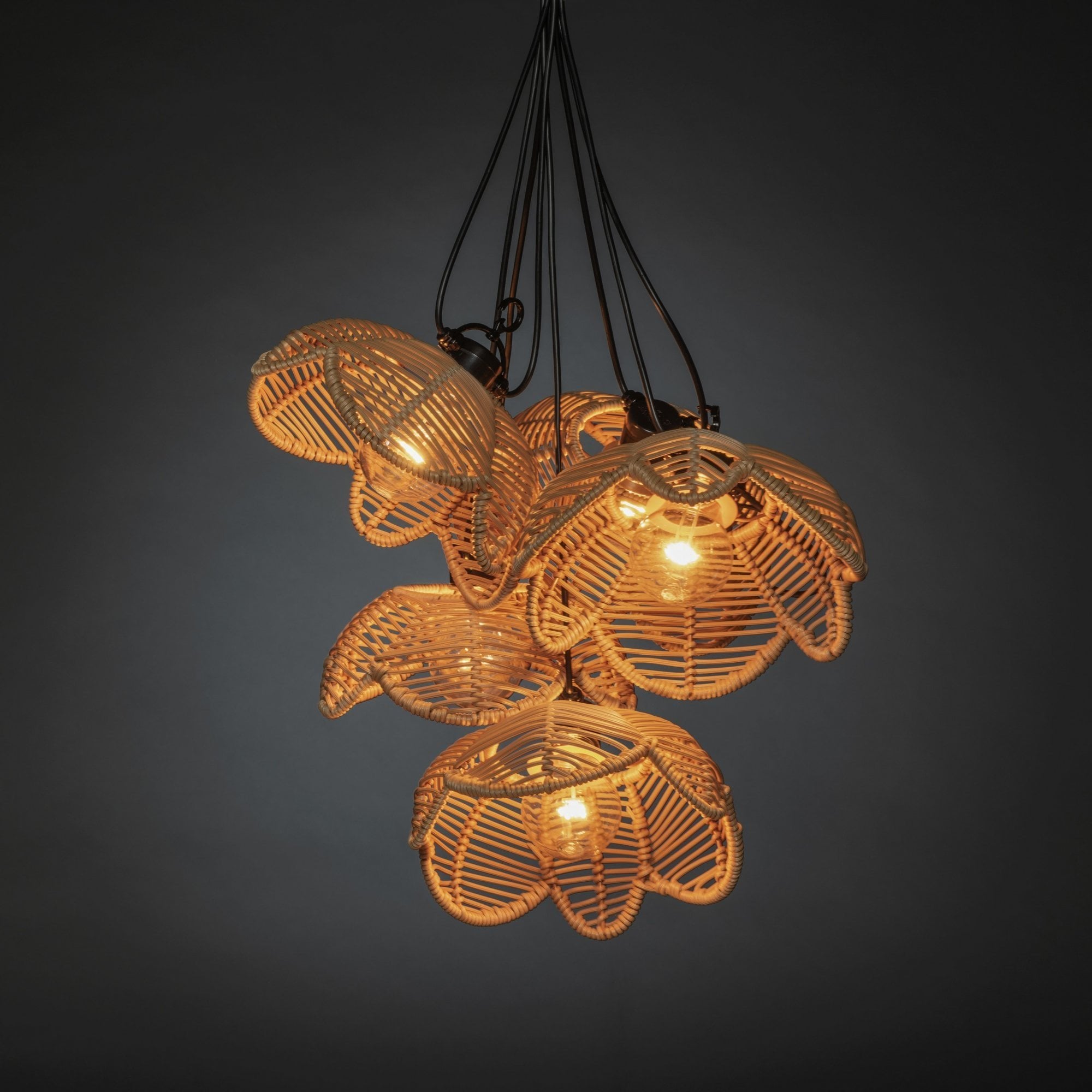Konstsmide Festoon 9.15m Starter Set - 10 LED Bulbs - 2000K - Natural Flower Shades
