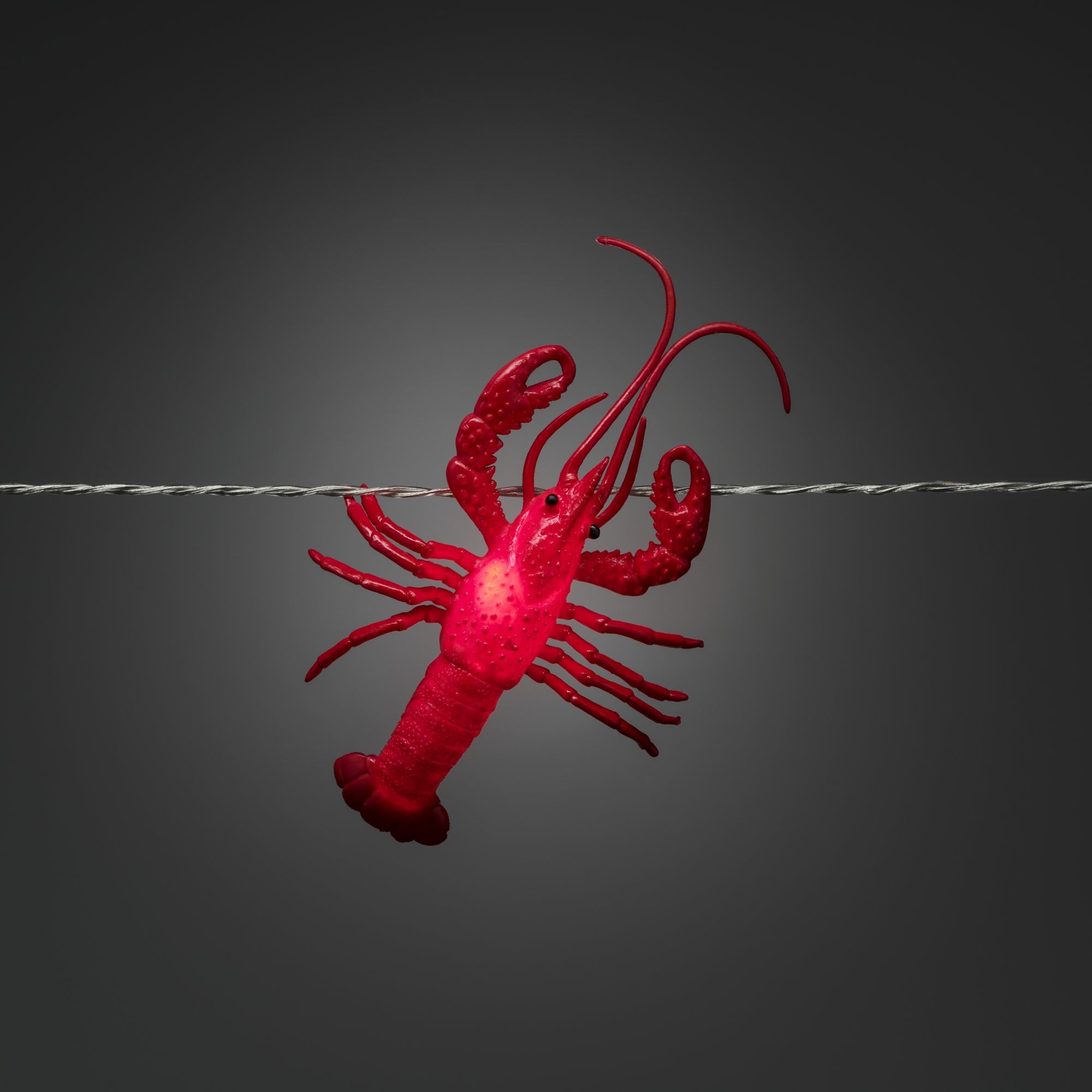 Konstsmide Festoon 7m Decorative Light Set - 8 LED Crayfish