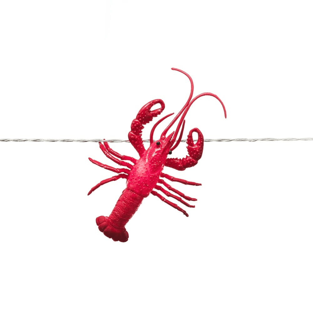 Konstsmide Festoon 7m Decorative Light Set - 8 LED Crayfish