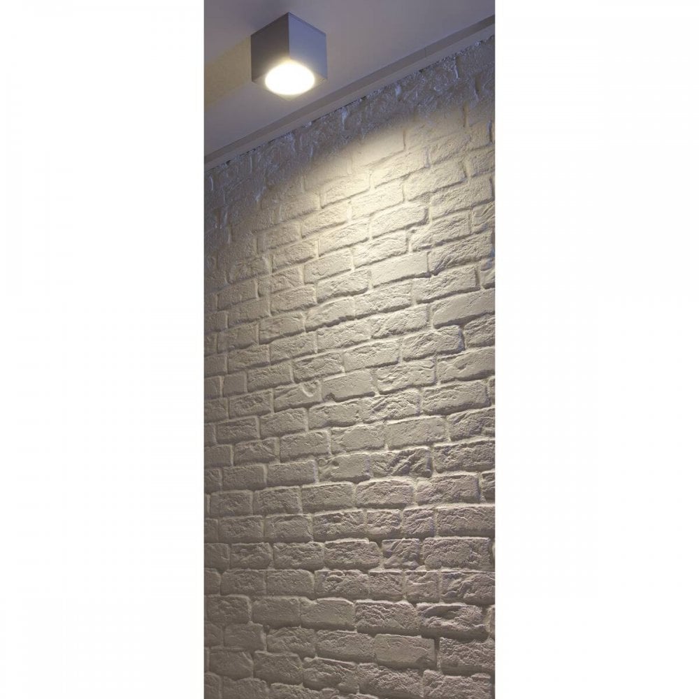 SLV Big Theo Outdoor Ceiling Light - Silver-Grey - Mains