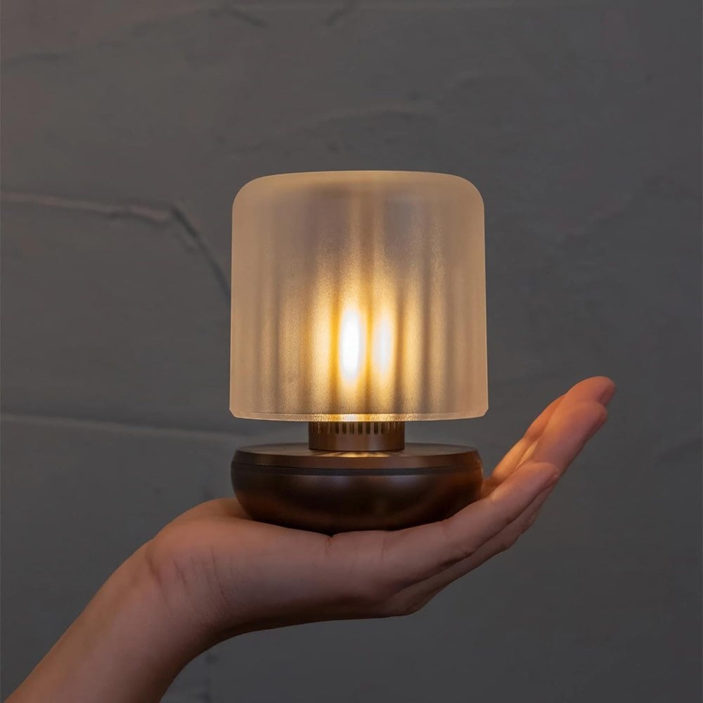 Humble Firefly Table Lamp - Bronze & Frosted Glass