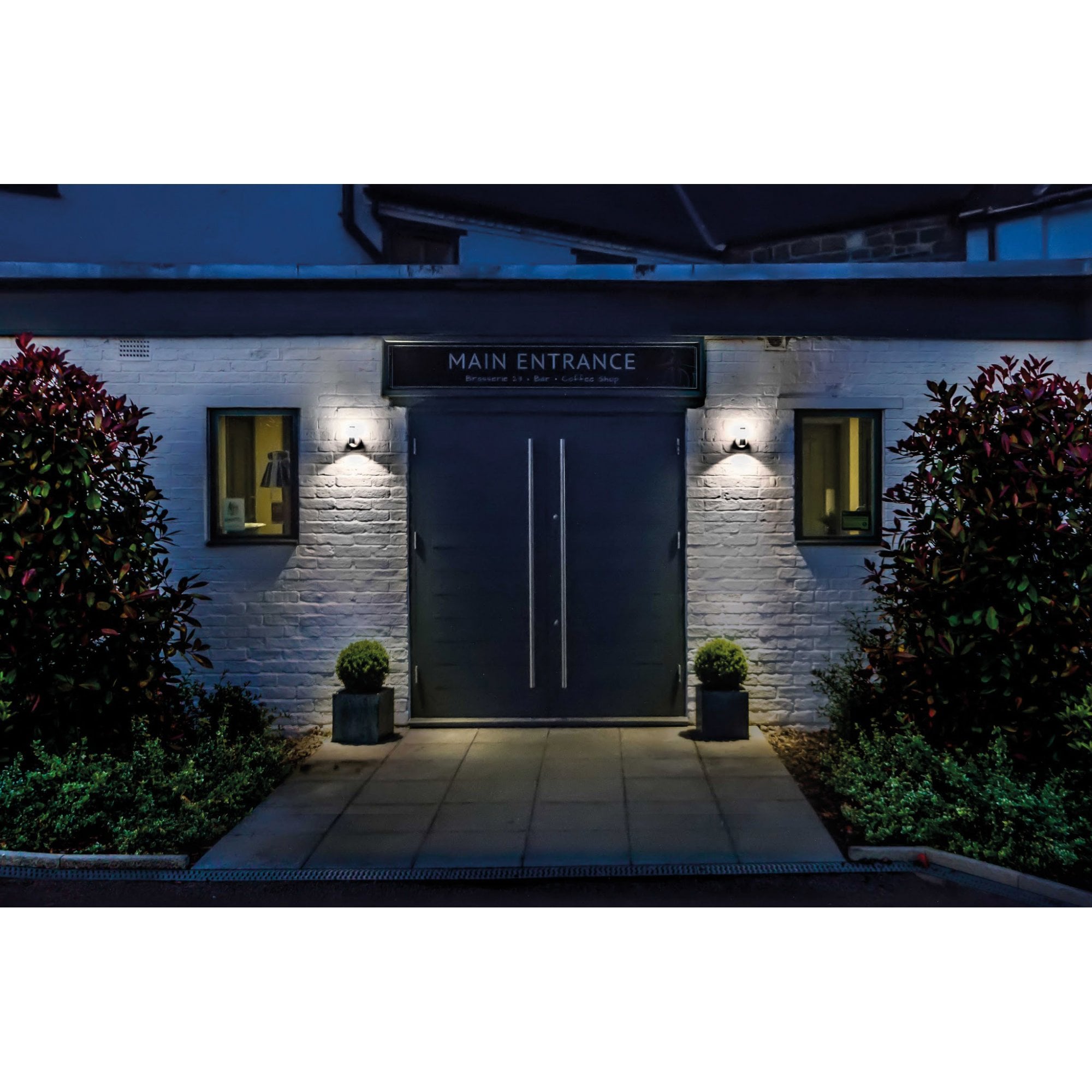 Collingwood WL060 Straight to Mains LED Halo/Flood Wall Light - Aluminium