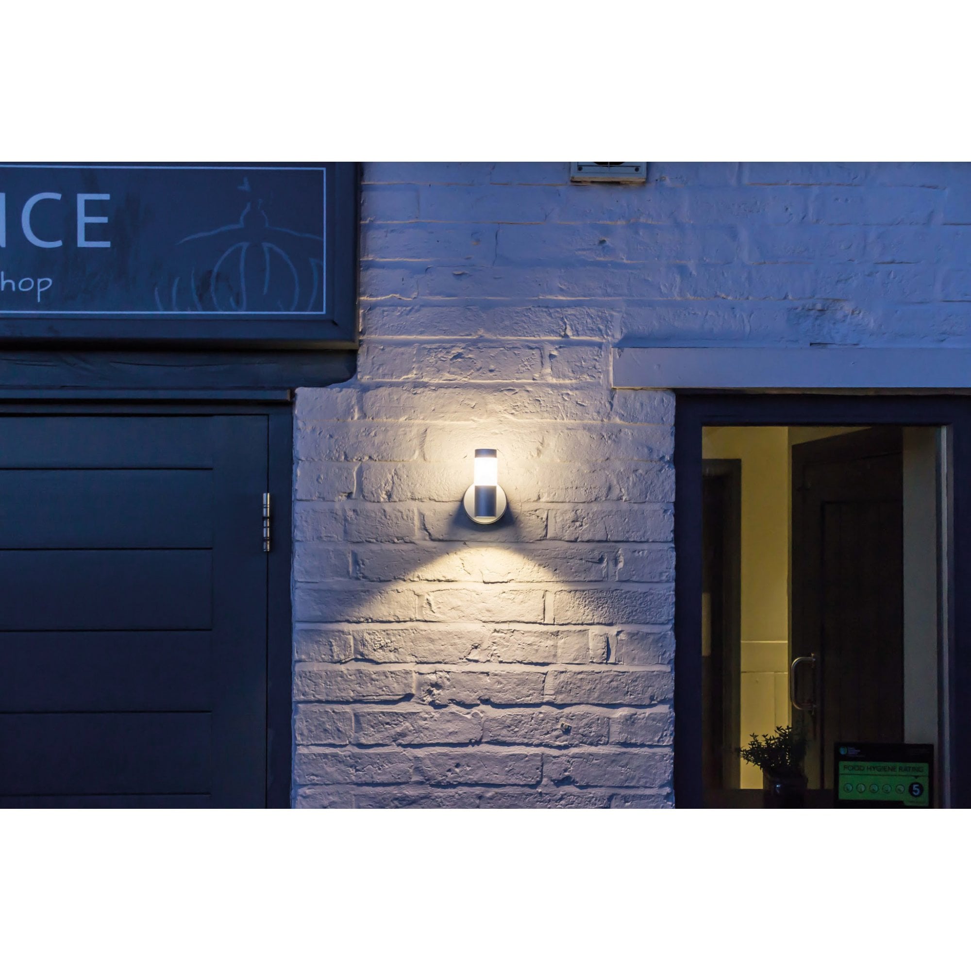 Collingwood WL060 Straight to Mains LED Halo/Flood Wall Light - Aluminium