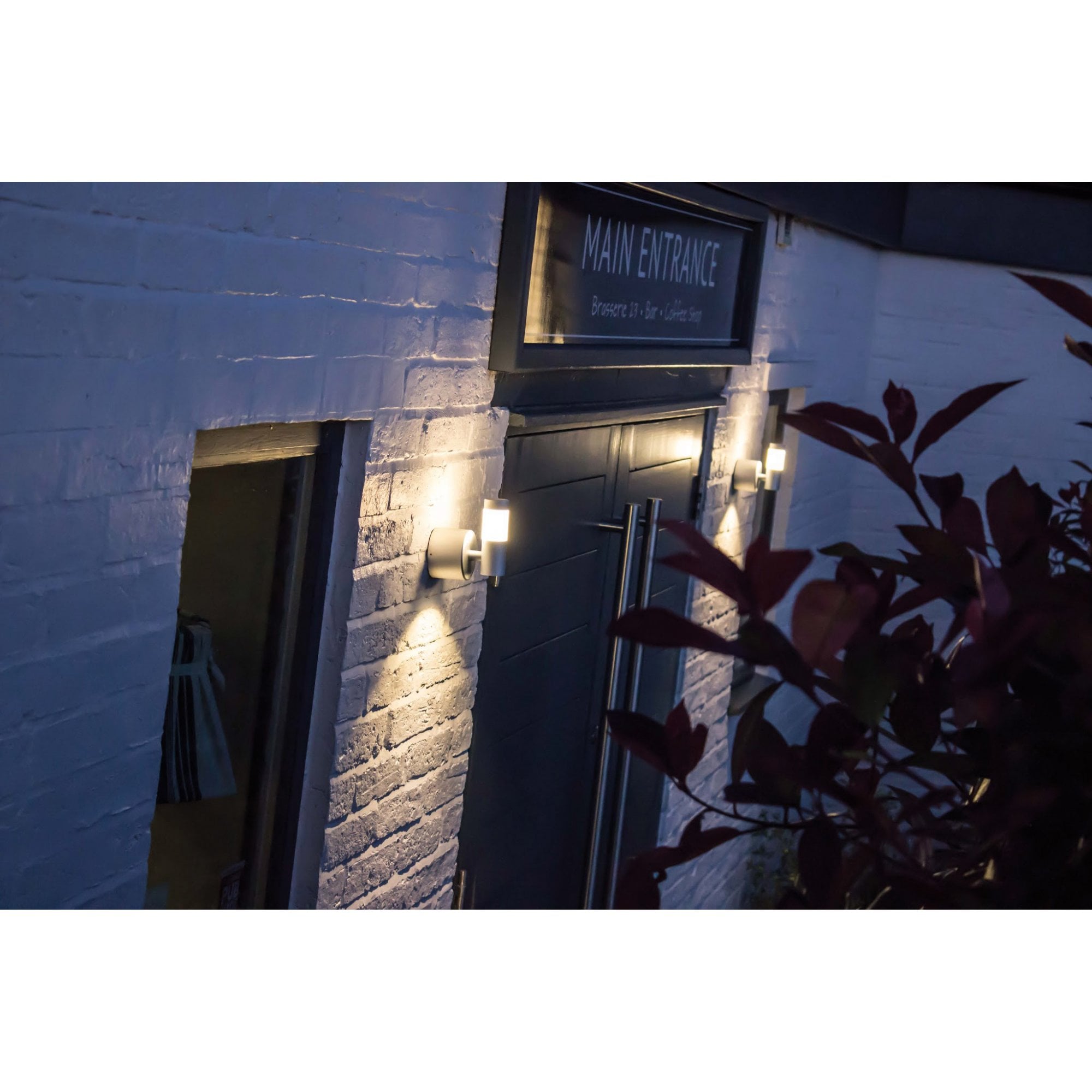 Collingwood WL060 Straight to Mains LED Halo/Flood Wall Light - Aluminium