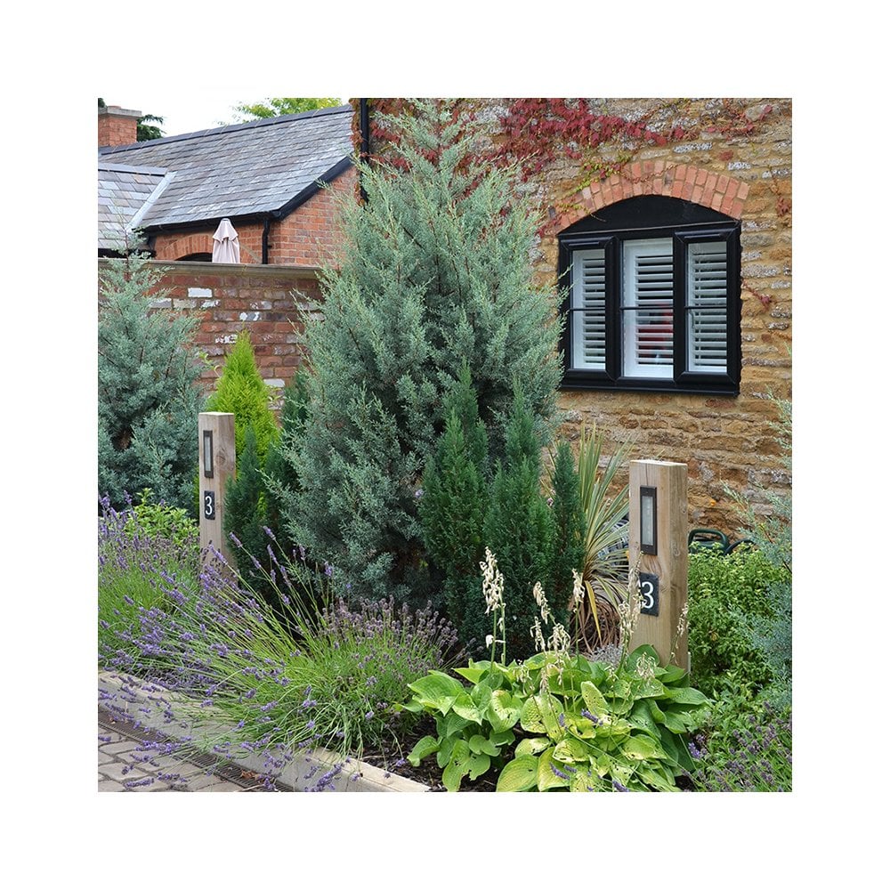 Lumena Radiata Sleeper Timber Bollard Light - Rustic Bronze - Mains