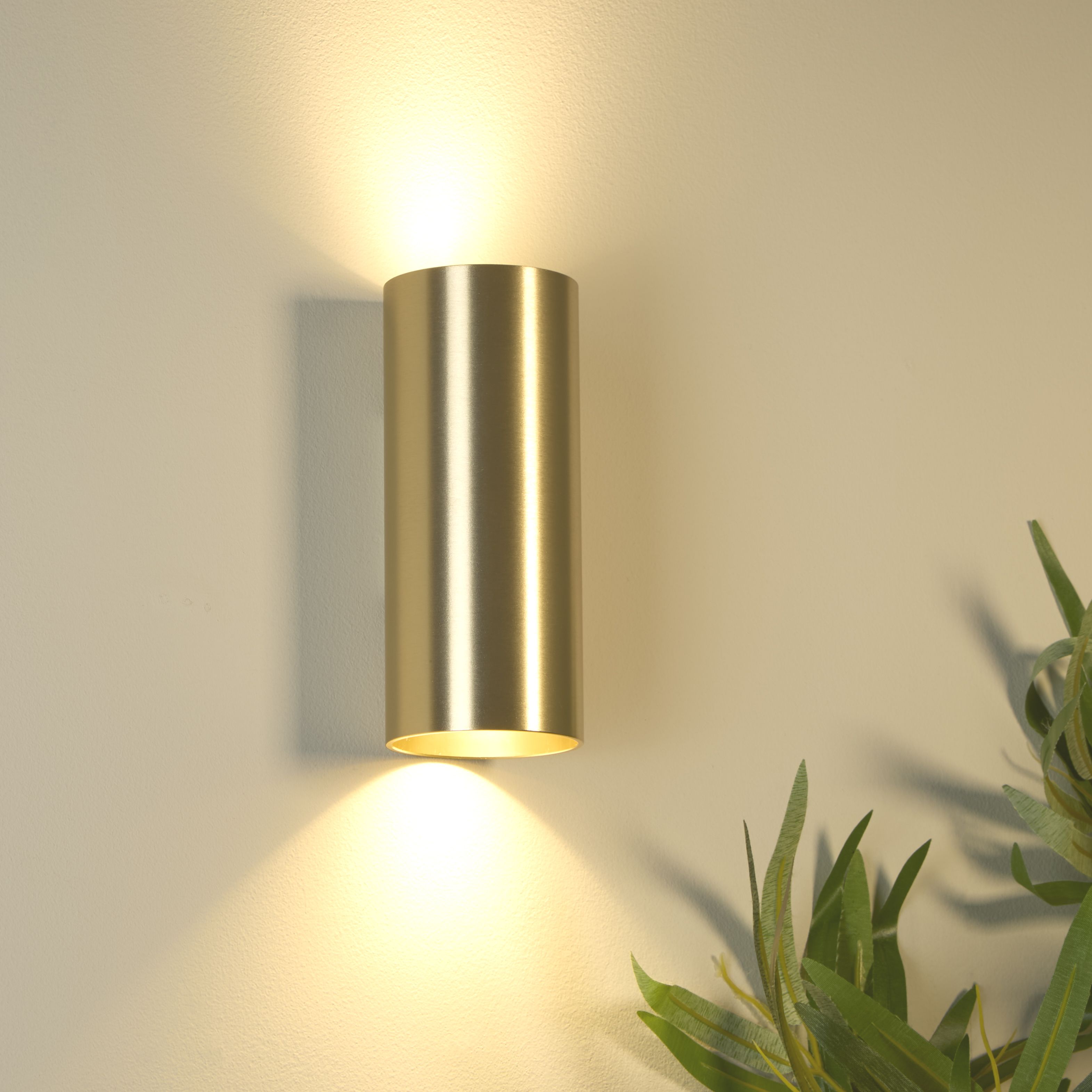 Searchlight Cyls wall light in brushed gold mounted on a warm toned wall beside a leafy plant, lit both upward and downward