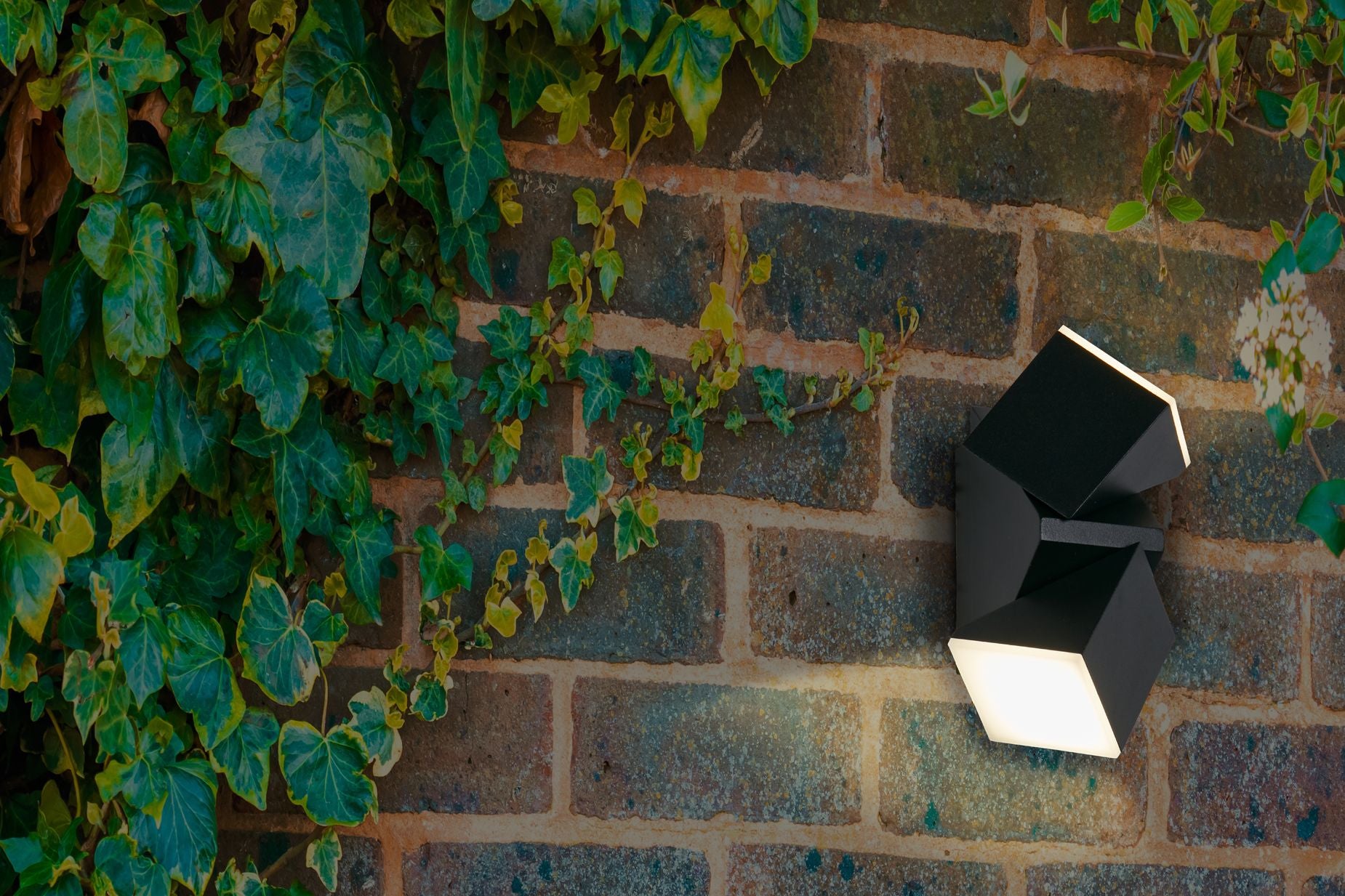 Montana black outdoor wall light mounted on a brick wall covered in ivy, glowing warm white at night