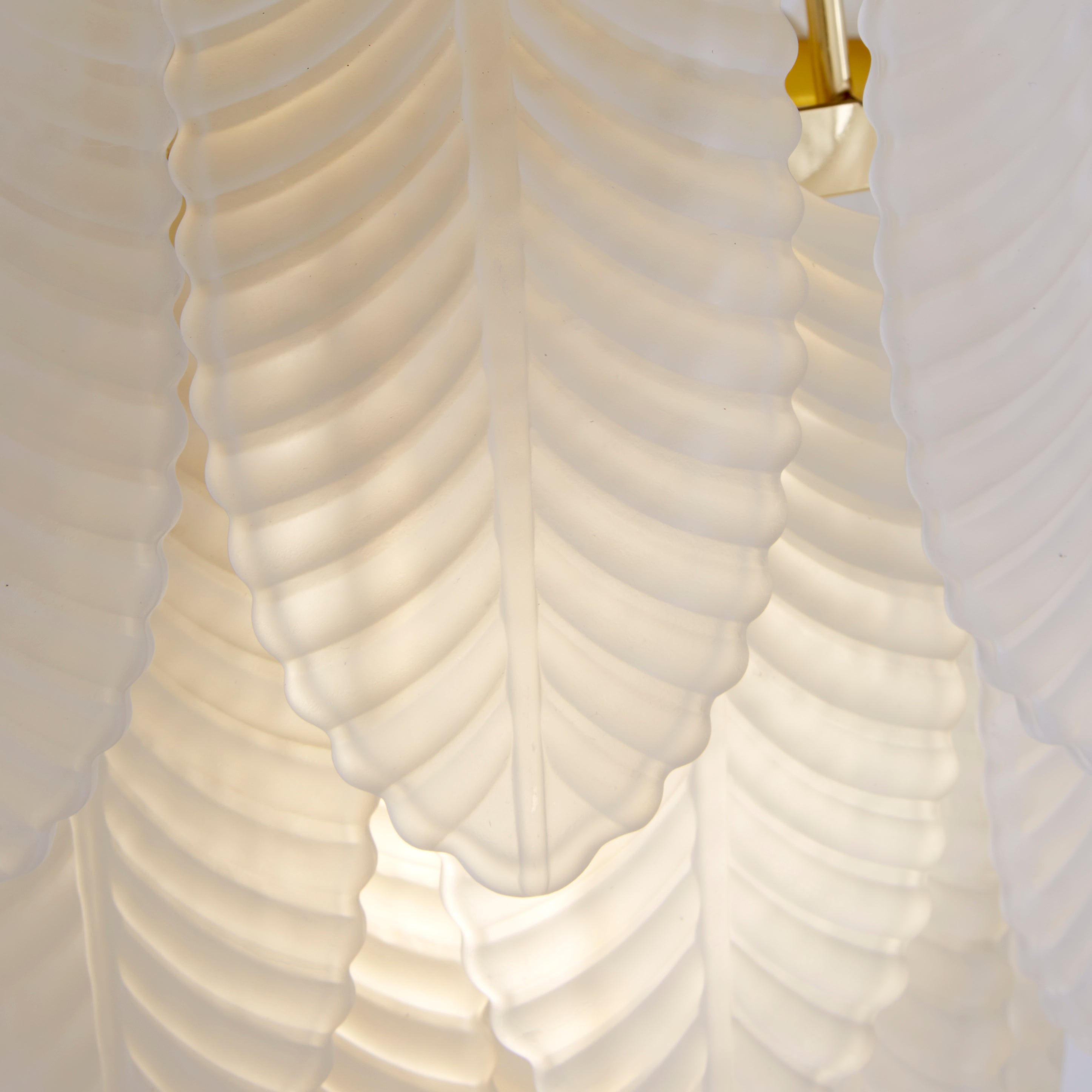 Searchlight Feather wall light in polished brass, close up of the ribbed frosted glass feather shade