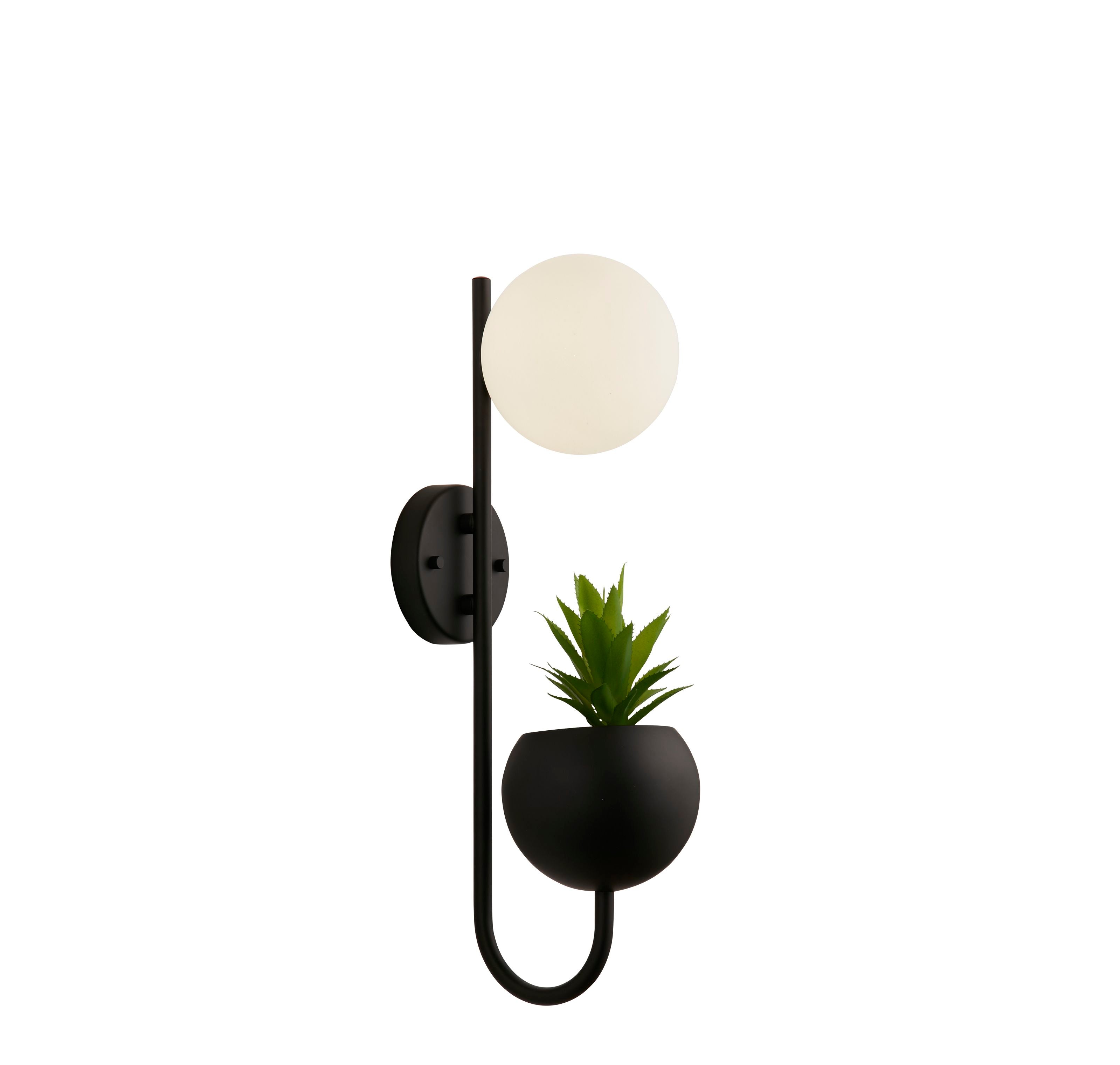 Searchlight x Lunar Wall Light in black with an opal glass globe and a small succulent in the built in planter cup