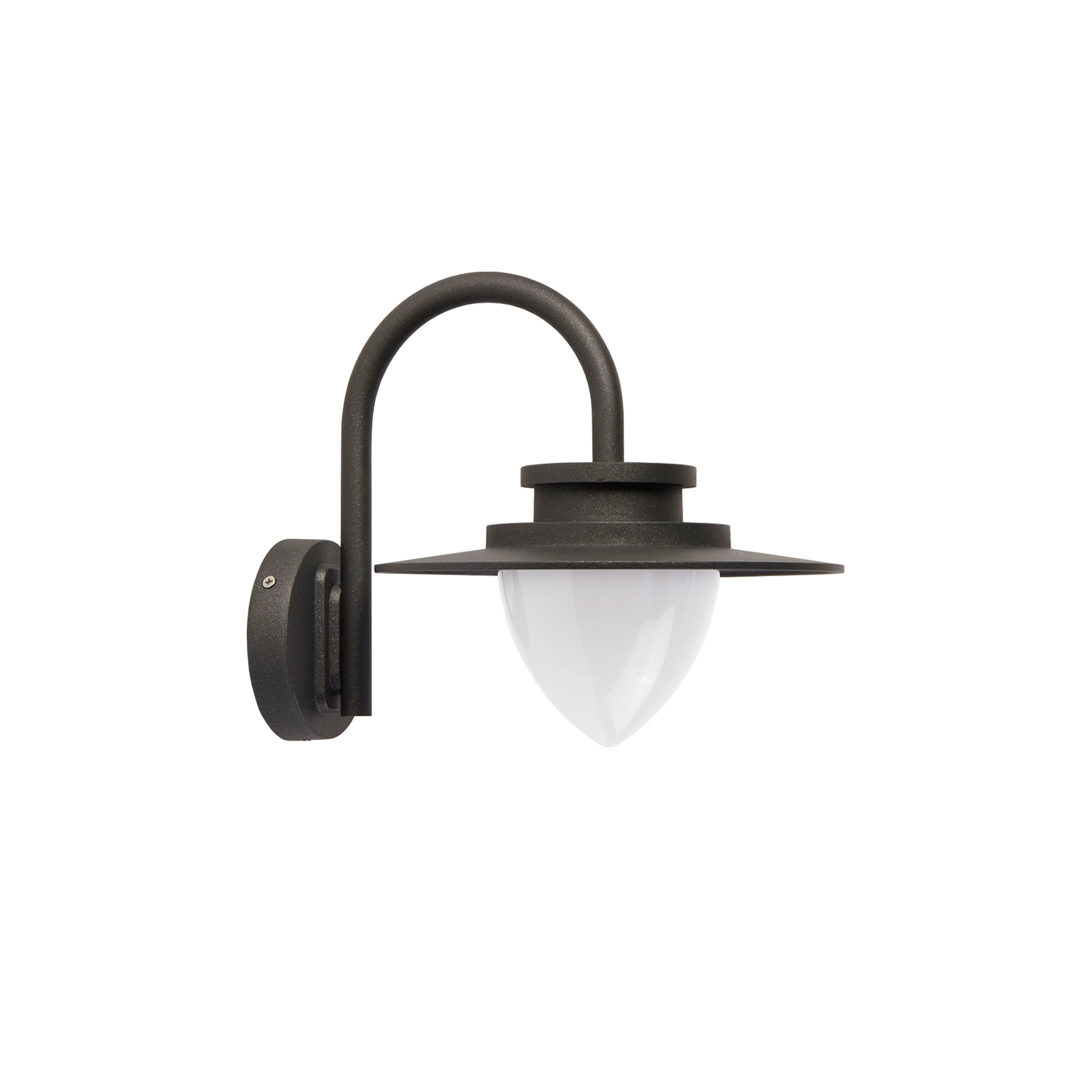Searchlight Texas outdoor wall light in graphite, studio shot showing the curved gooseneck arm and downward facing white opal diffuser, unlit