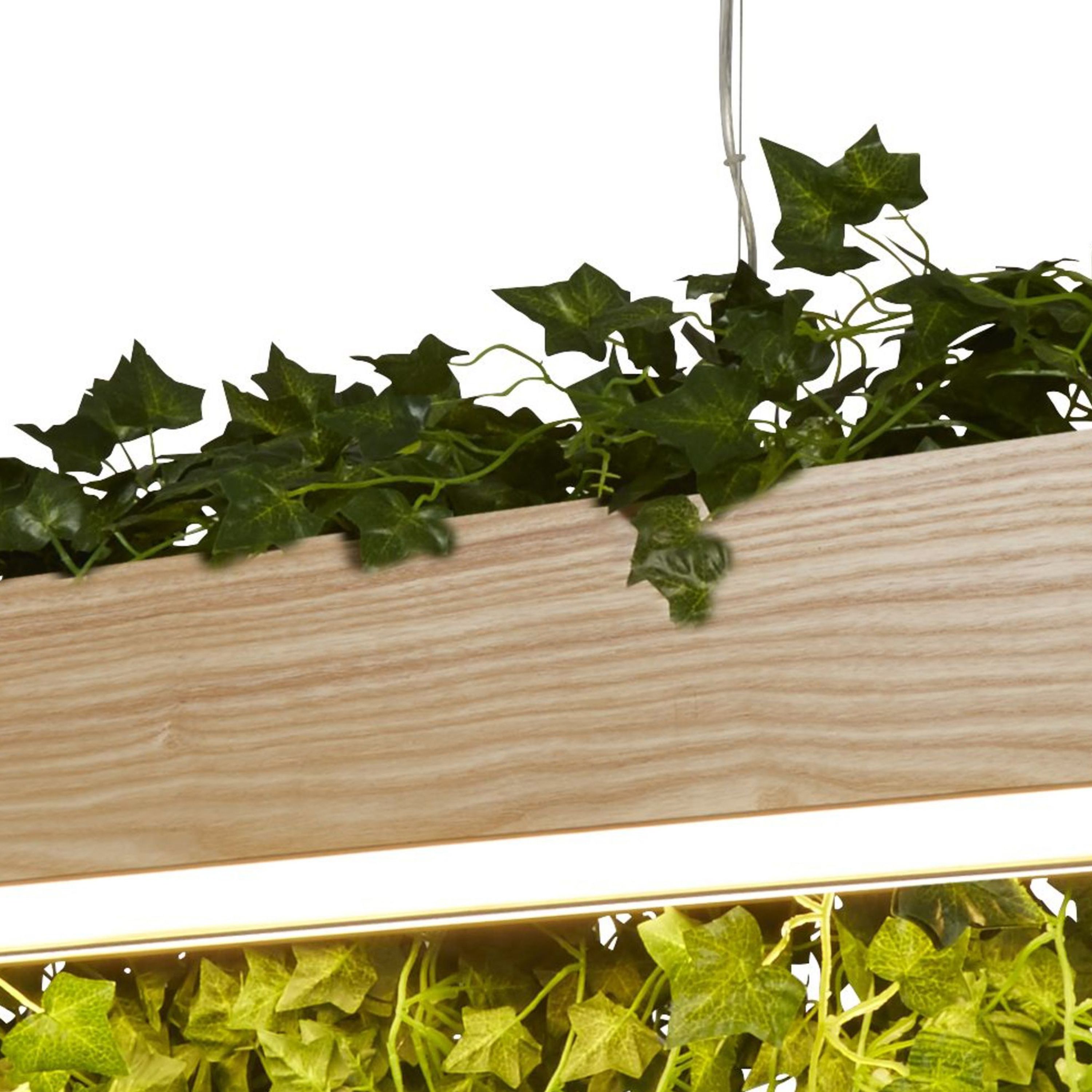 Close up of the Ash pendant's wood grain top edge with trailing ivy leaves draped over it and the LED strip glowing below