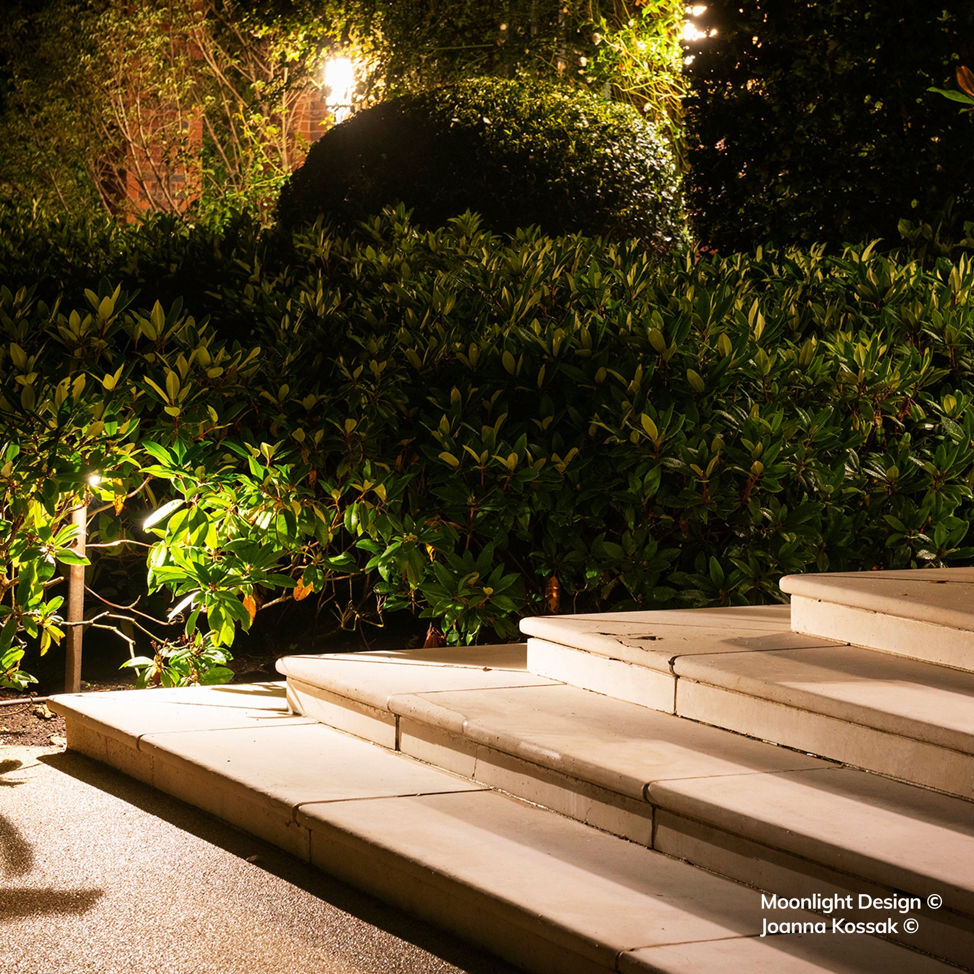 Hunza Border Light illuminating evergreen shrubs beside stone steps at night, Moonlight Design garden lighting project