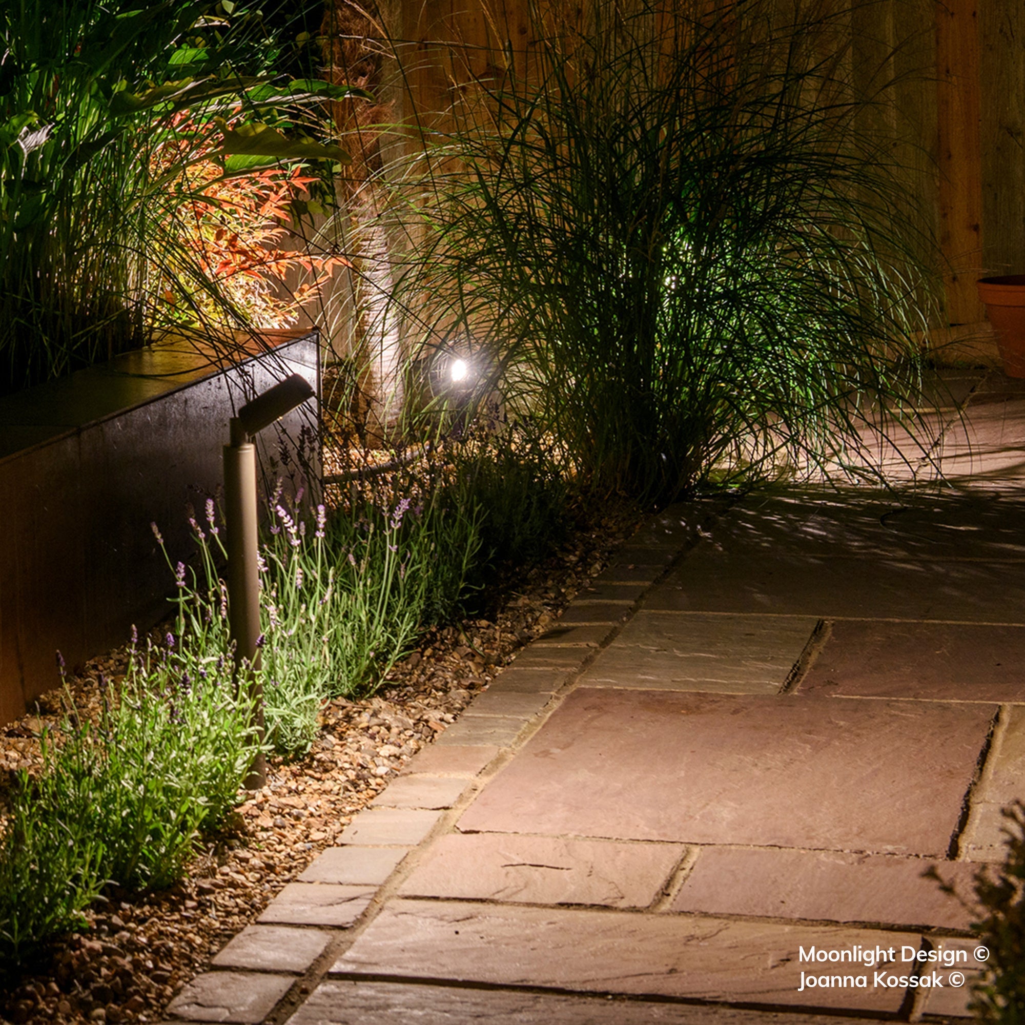 Hunza Border Light nestled among ornamental grasses and lavender beside a gravel path at night, Moonlight Design installation