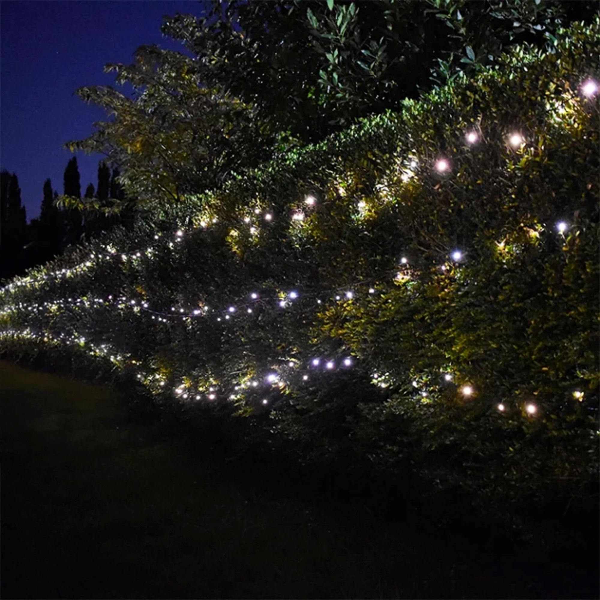 Lumena Cosmic Ara – Dual White Solar String Lights 50m with Remote Control