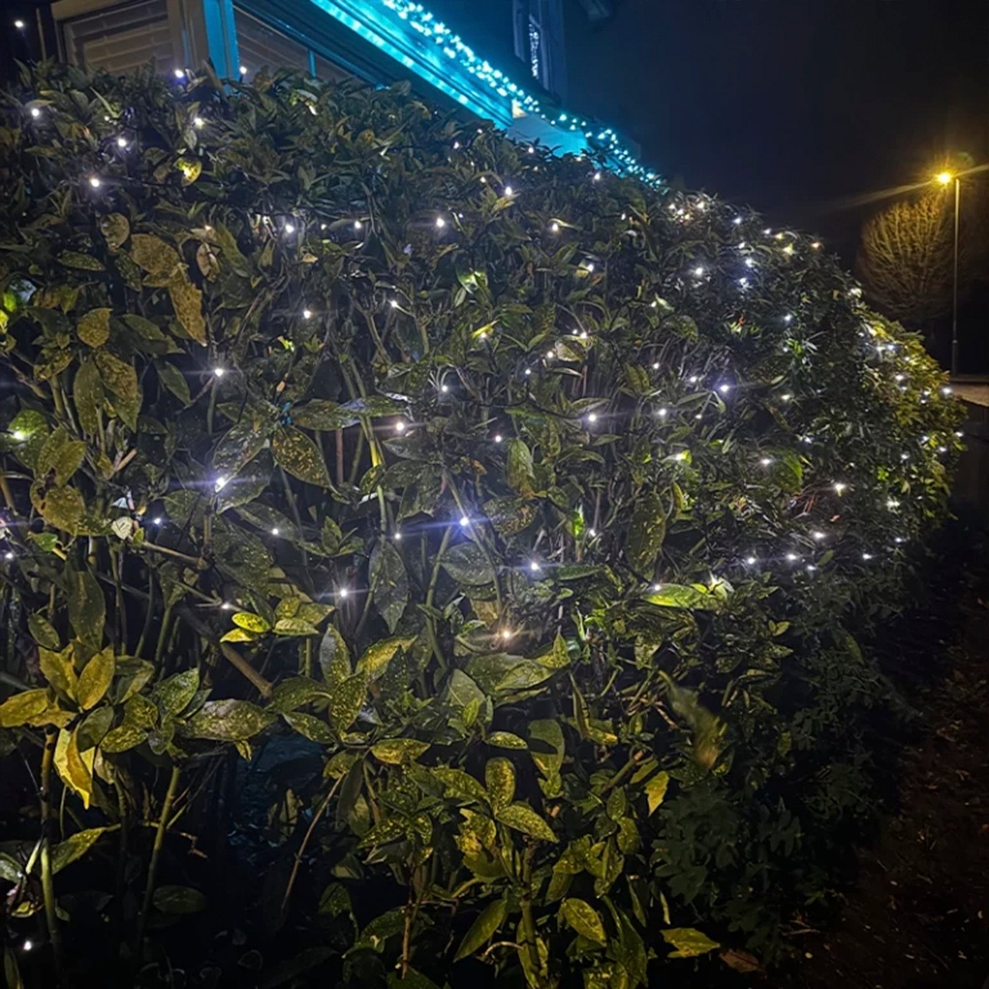 Lumena Cosmic Ara – Dual White Solar String Lights 50m with Remote Control