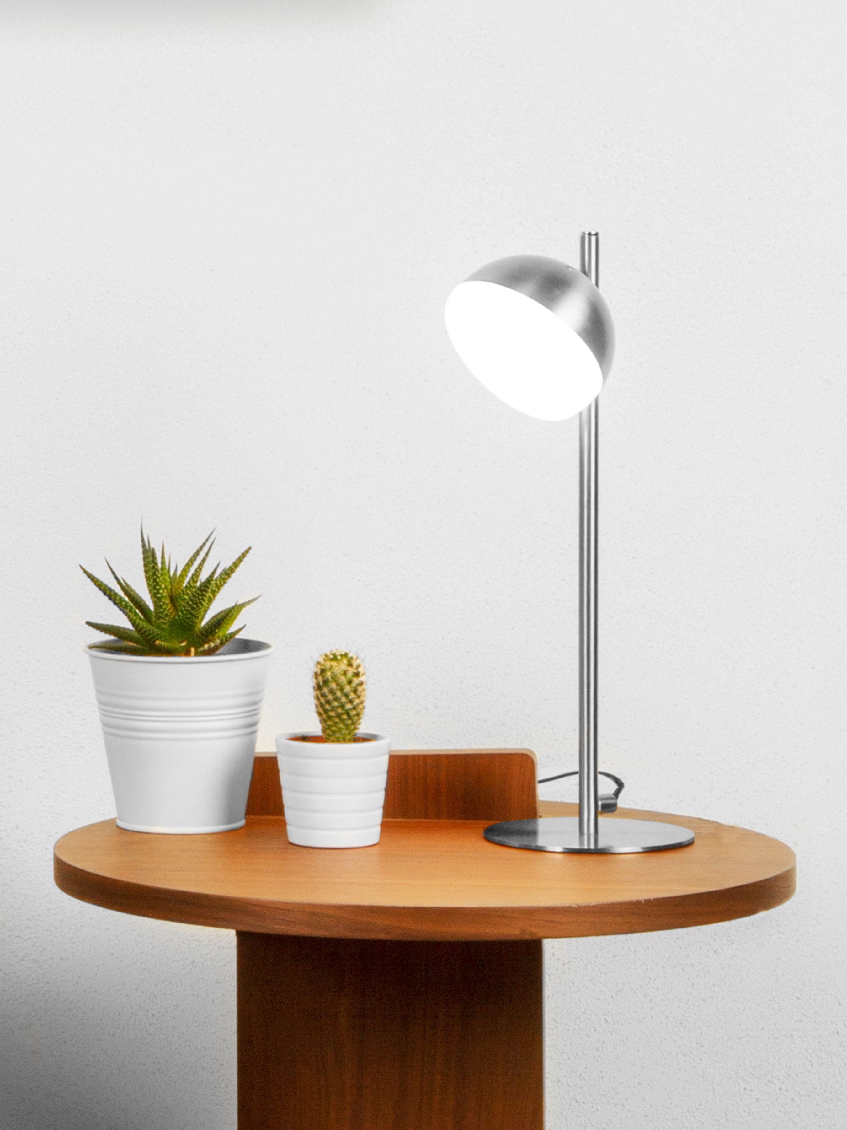 Tully table lamp in satin silver styled on a wooden side table with two small potted succulents