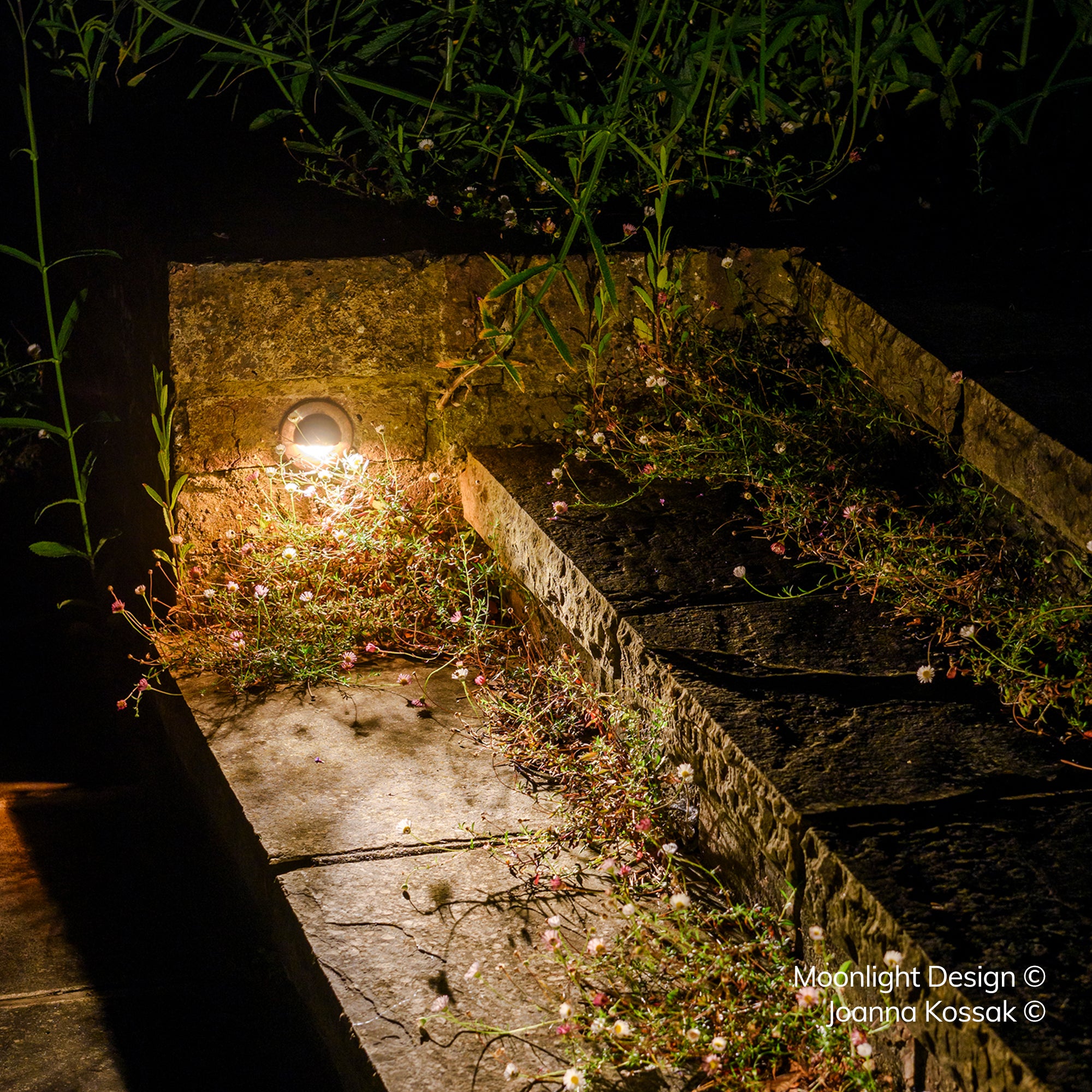 Close up of a Hunza Euro eyelid light recessed into an old stone wall corner, surrounded by wildflowers at night. A Moonlight Design installation, not stock imagery.