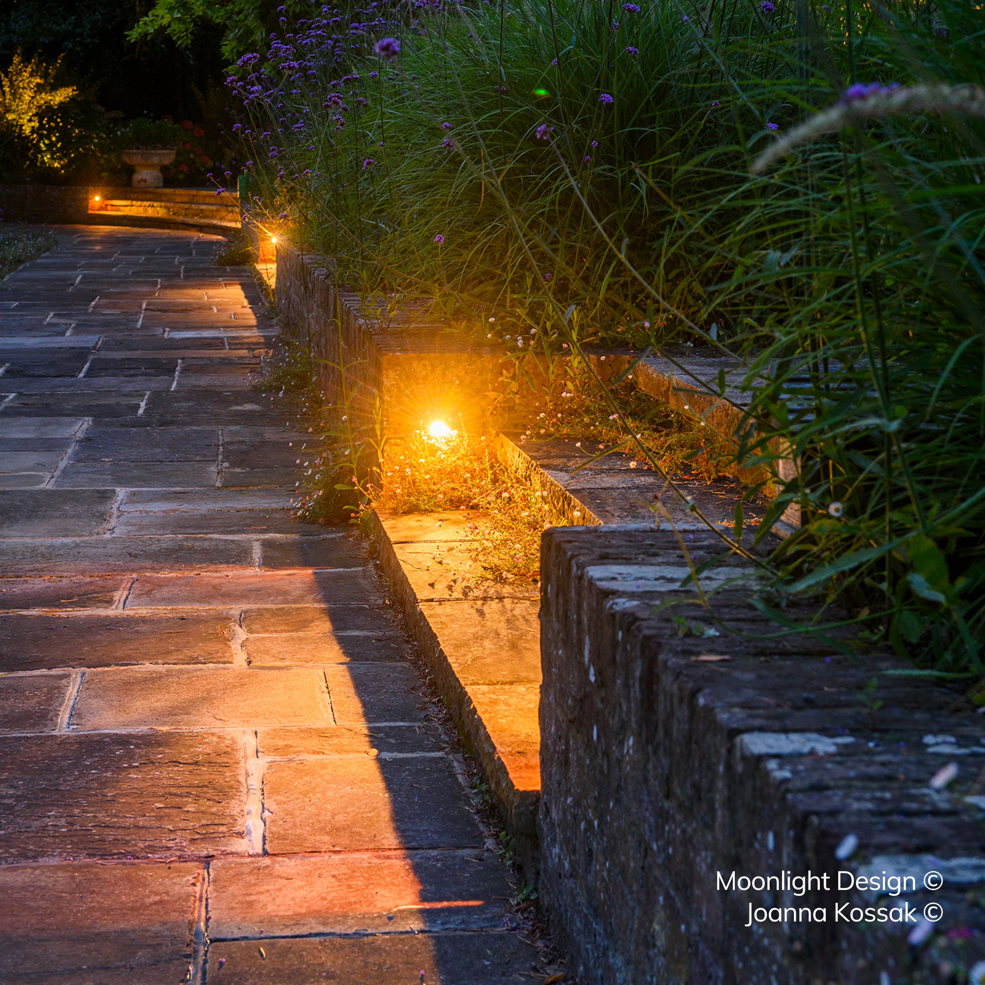 A stone garden path lit by recessed Hunza Euro eyelid lights along a low wall, bordered by verbena and ornamental grasses at dusk. A Moonlight Design installation, not stock imagery.