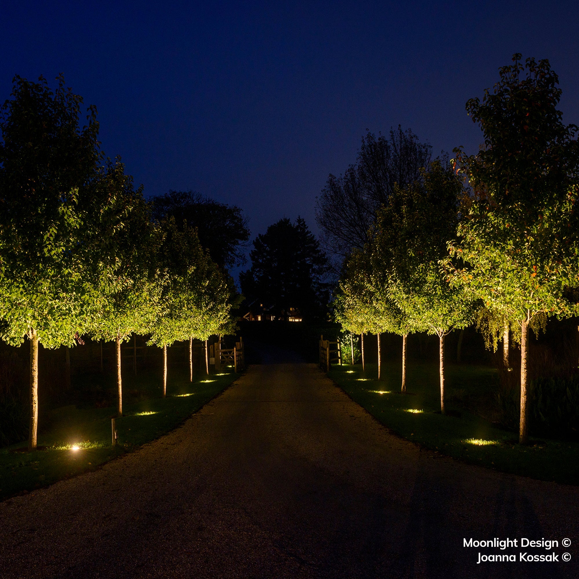 Recessed Hunza driveway light uplighting a pathway and trees at night, Moonlight Design garden lighting project