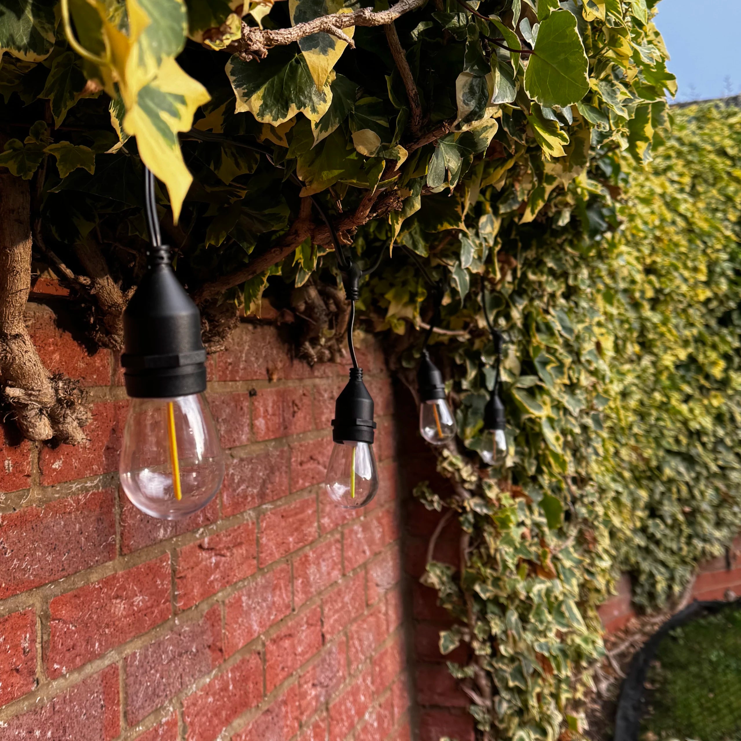 Lumena Cosmic Hydra – Solar 'Meteor' Effect Festoon Lights – Coloured Bulbs with Remote Control