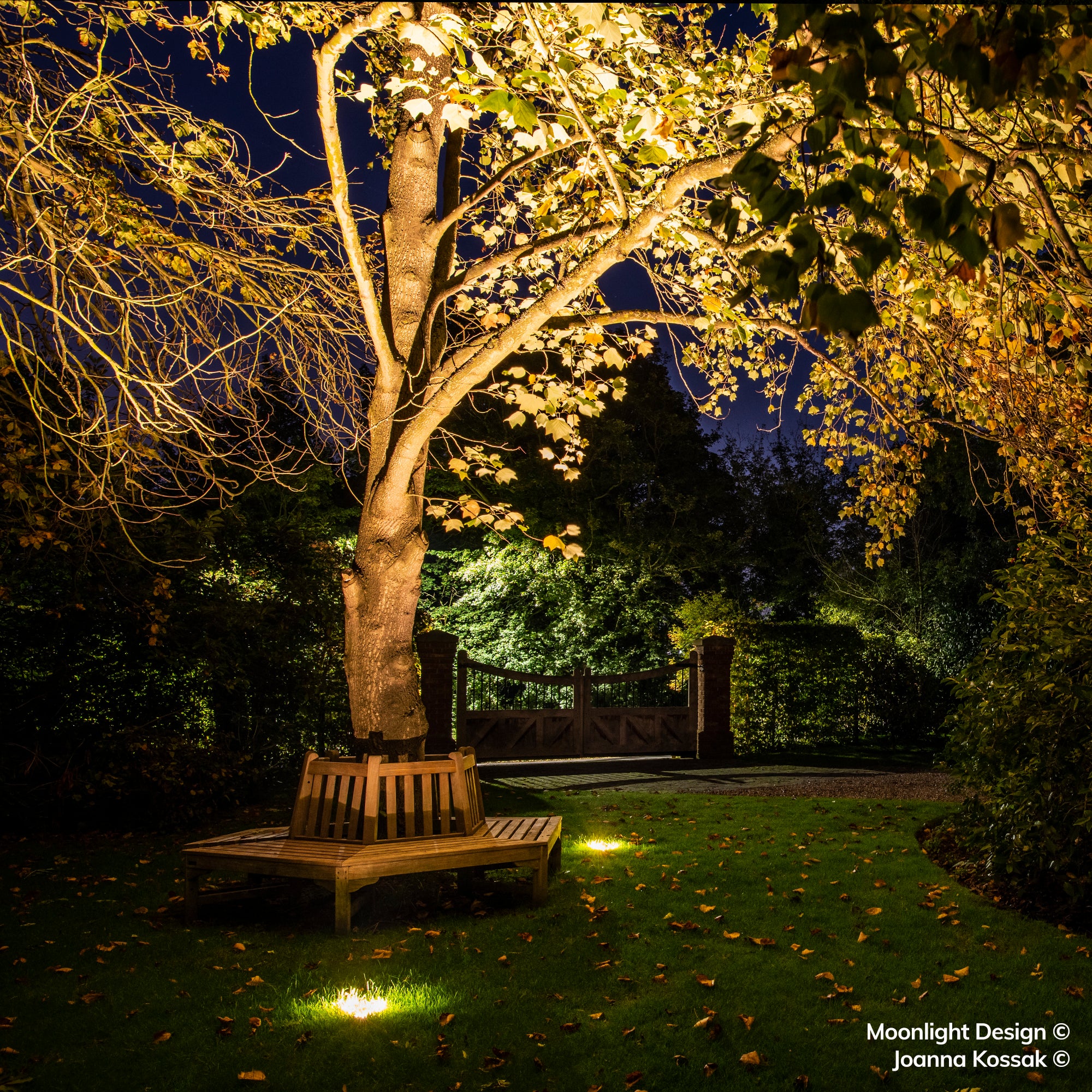 Hunza Lawn Light - Stainless Steel - Low Voltage
