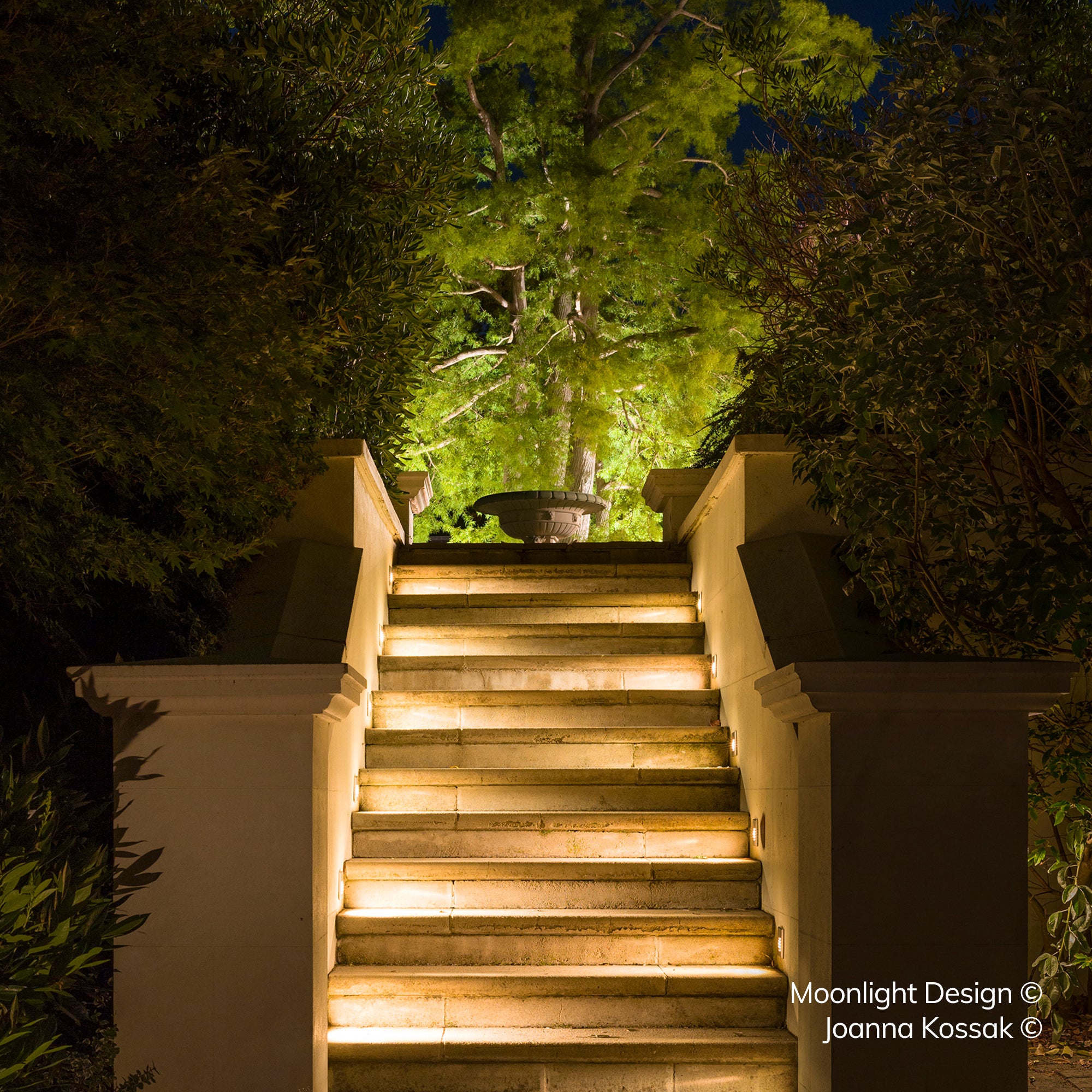 Stone steps rising toward an illuminated tree and stone urn, lit by recessed louvred step lights set into the walls on both sides at night. A Moonlight Design installation, not stock imagery.