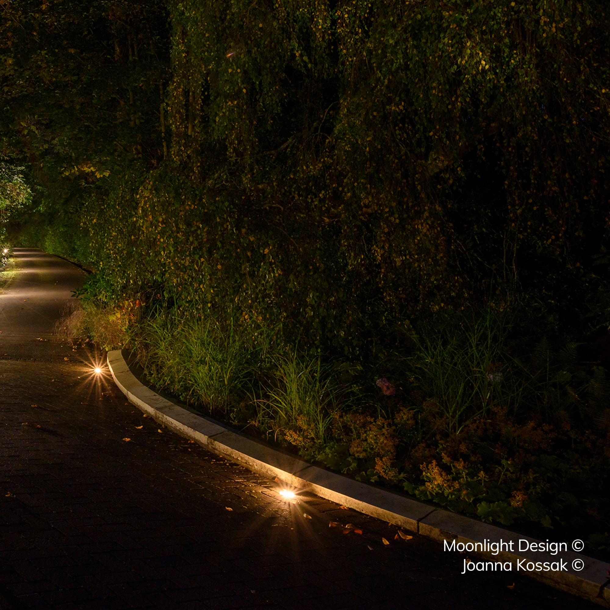 A brick paved path curving beside a hedge and lawn edge at night, with two recessed Hunza Path Lights set into the kerb stone. A Moonlight Design installation, not stock imagery.