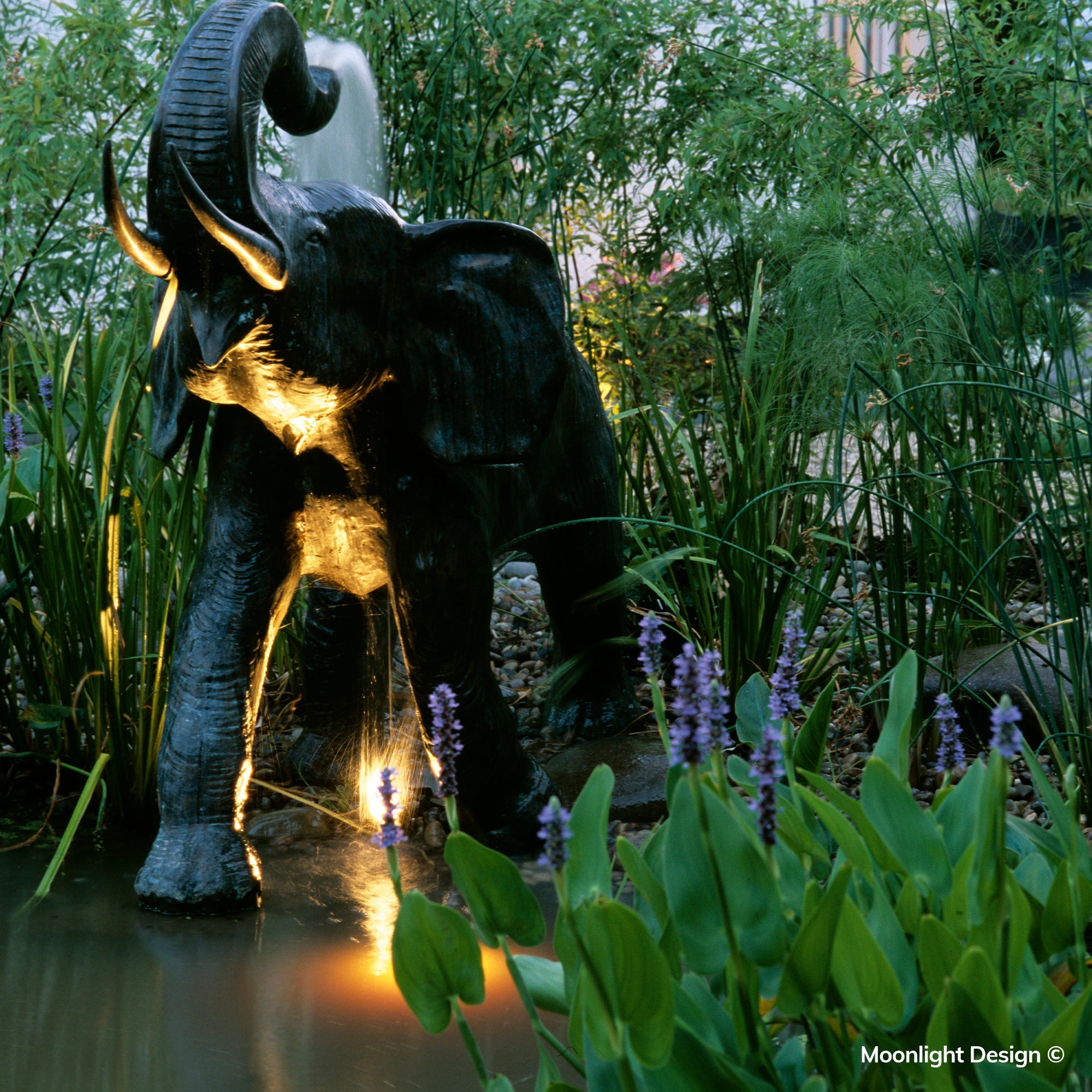 Subtle Hunza pond lights highlight the elephant water feature, bringing out the movement of the water and the surrounding aquatic planting. A completed Moonlight Design pond lighting project.