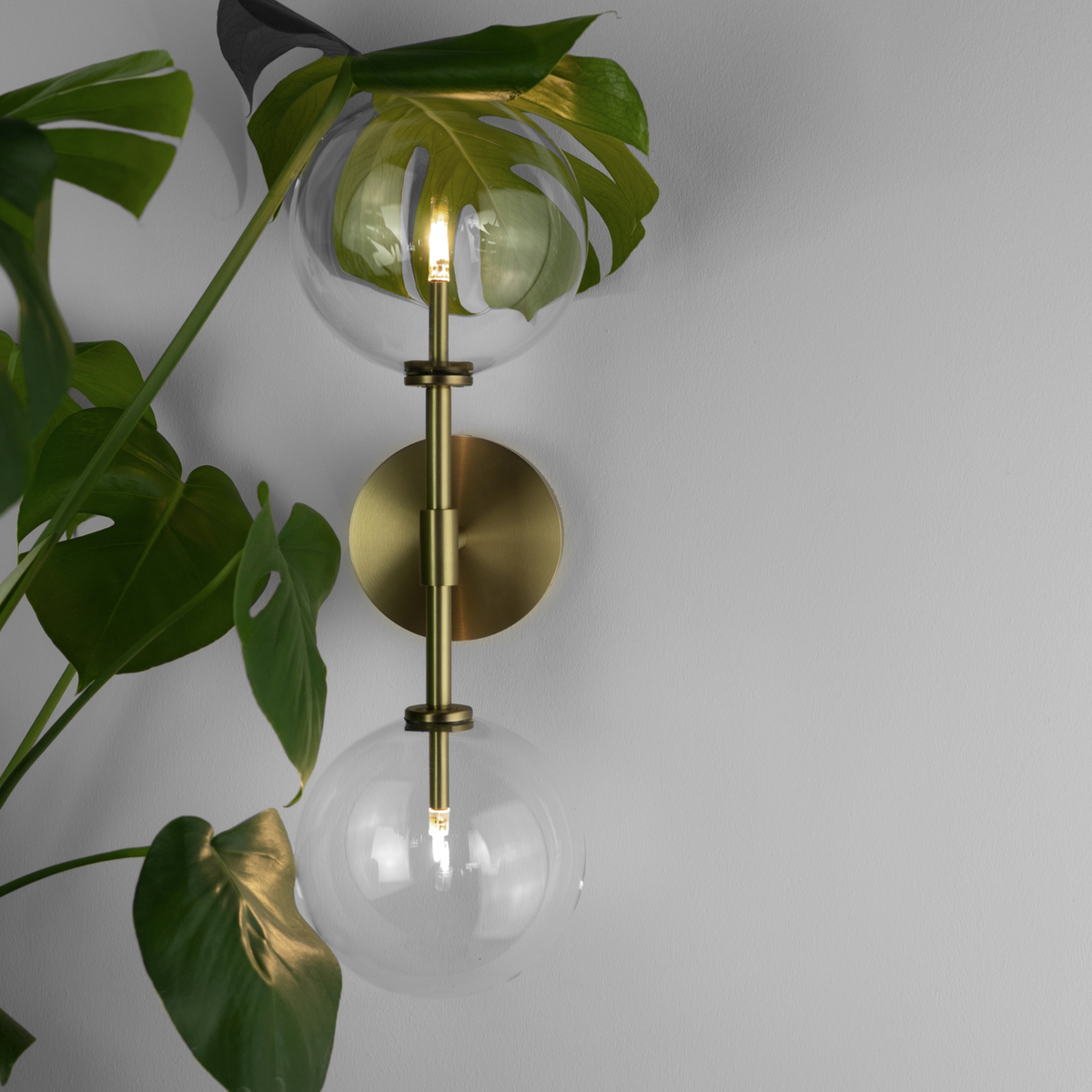 Schwung Dawn Dual Wall Sconce Light - Transparent Glass