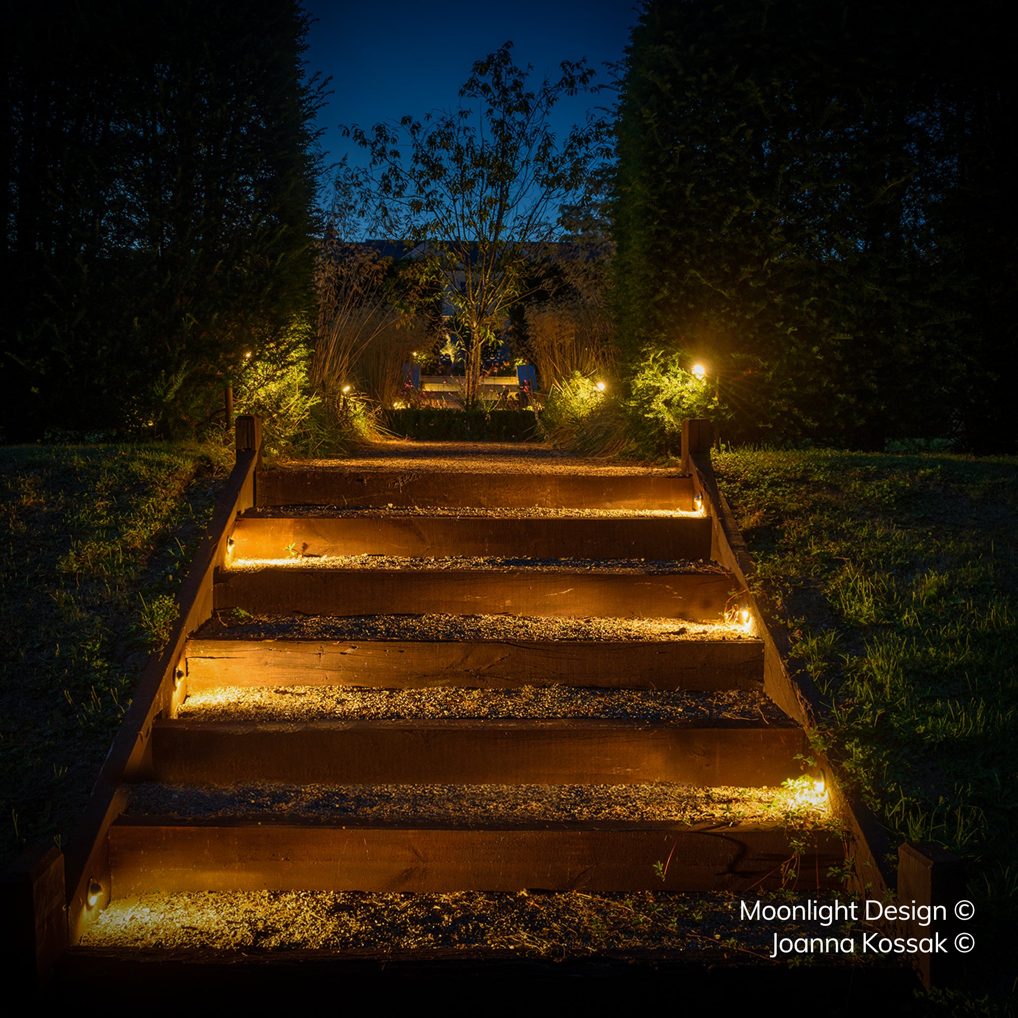 A full staircase of timber railway sleeper steps lit by multiple recessed Hunza eyelid step lights along each riser, leading up through a garden at night. A Moonlight Design installation, not stock imagery.