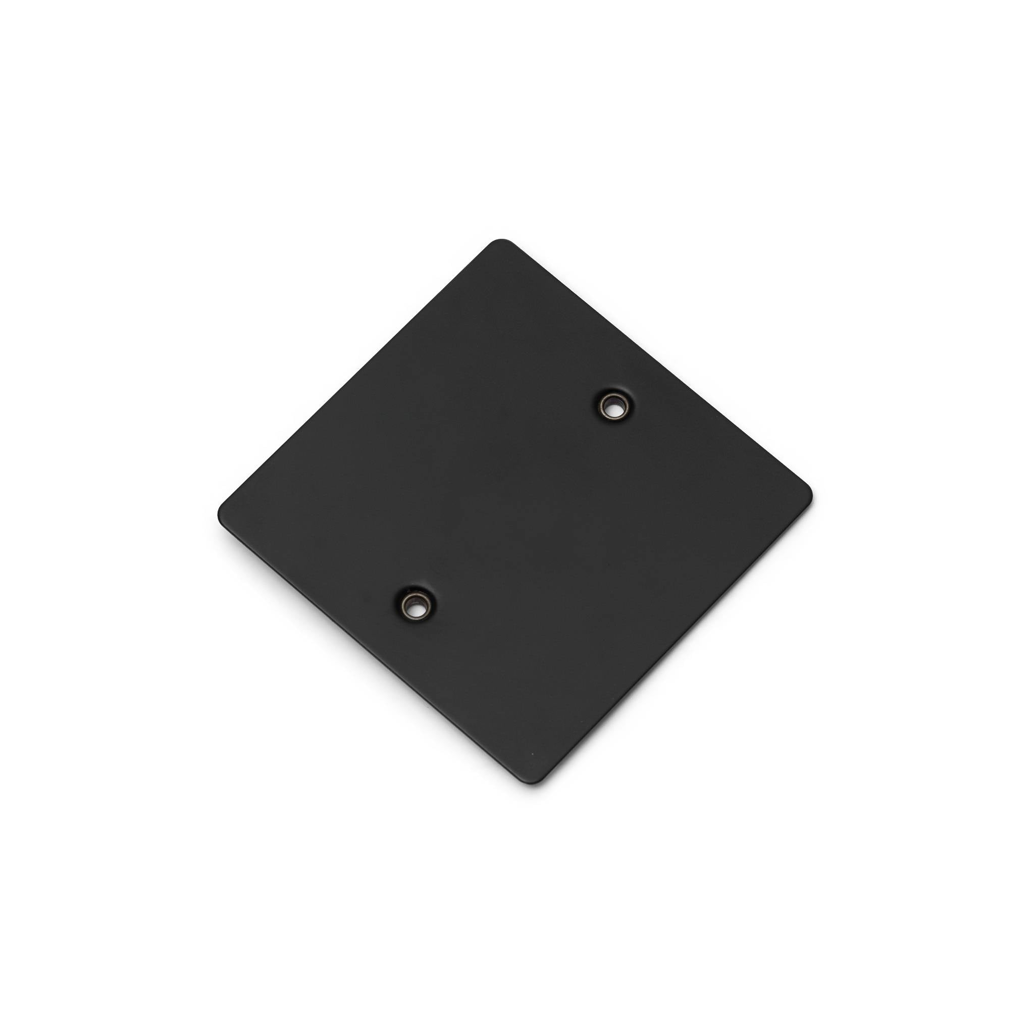 Buster + Punch 1G Blank Wall Plate