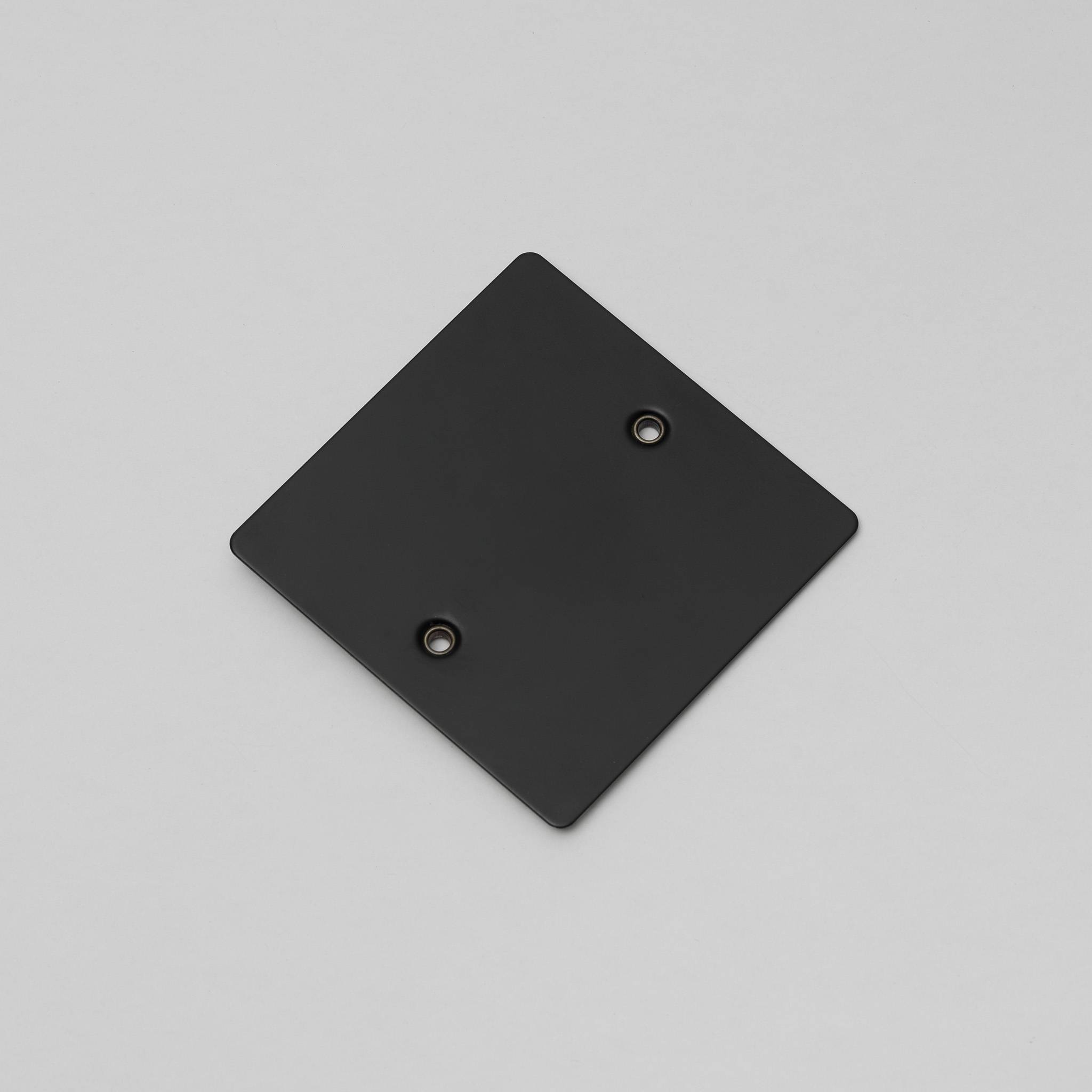 Buster + Punch 1G Blank Wall Plate