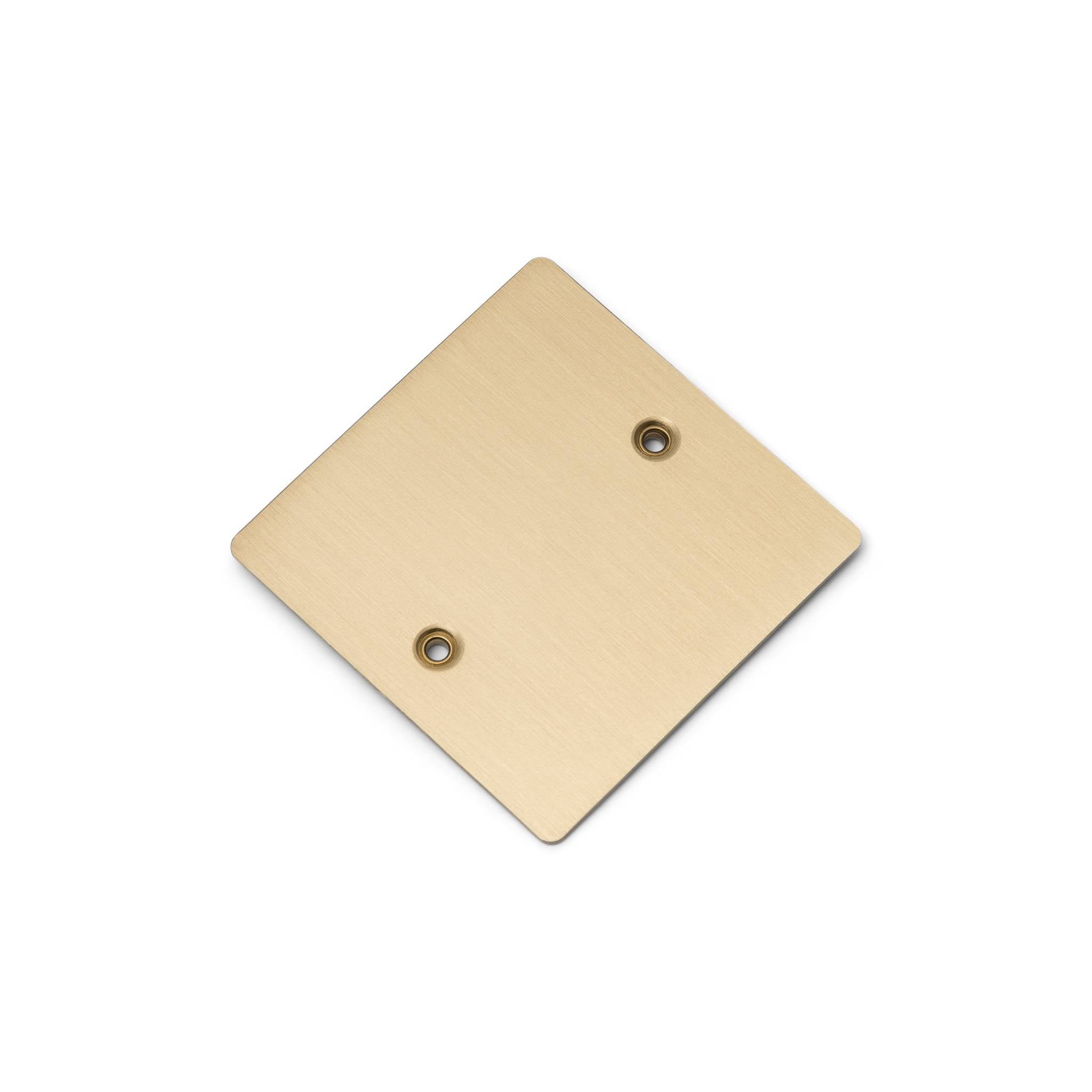 Buster + Punch 1G Blank Wall Plate