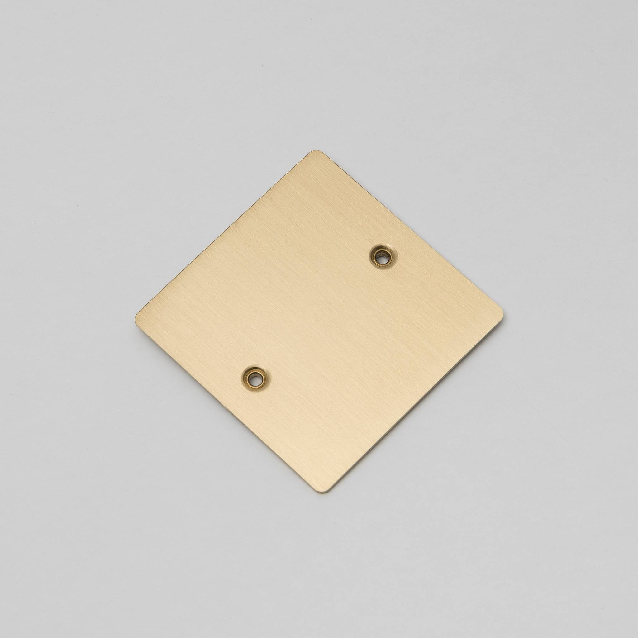 Buster + Punch 1G Blank Wall Plate