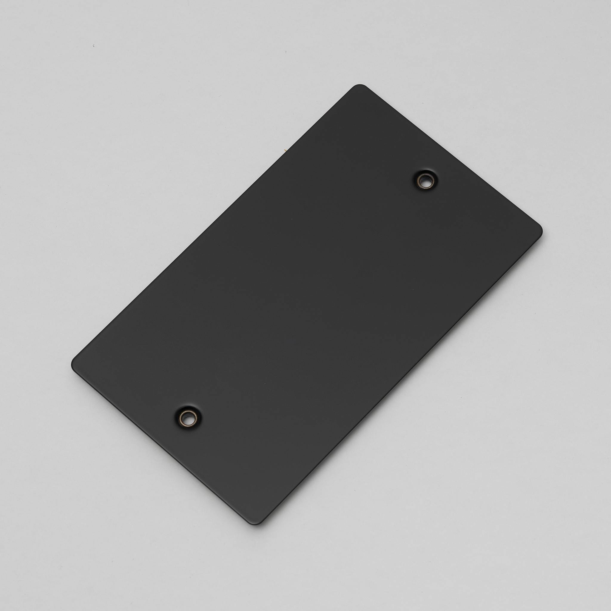 Buster + Punch 2G Blank Wall Plate