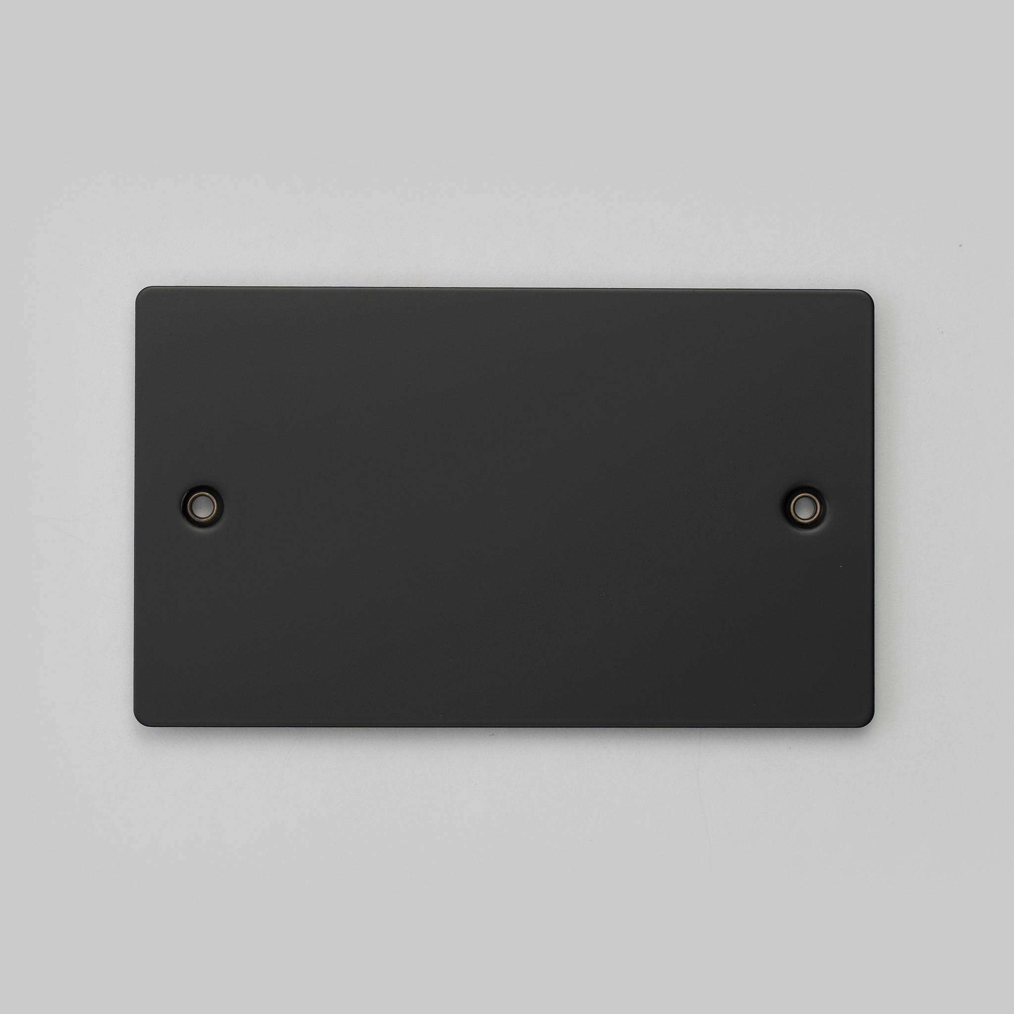 Buster + Punch 2G Blank Wall Plate