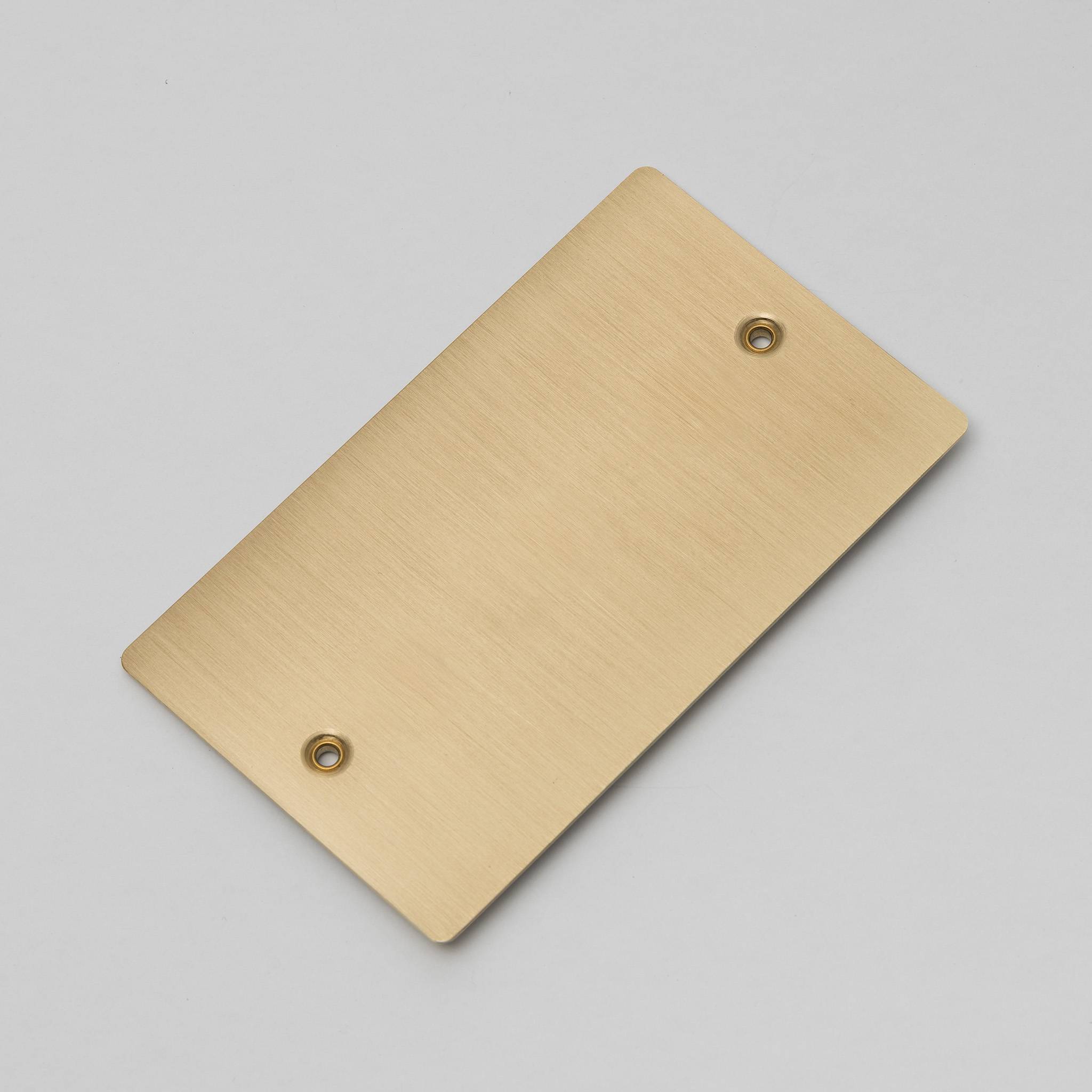 Buster + Punch 2G Blank Wall Plate