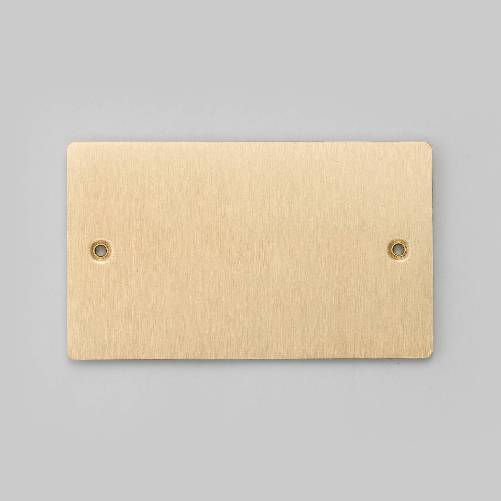 Buster + Punch 2G Blank Wall Plate