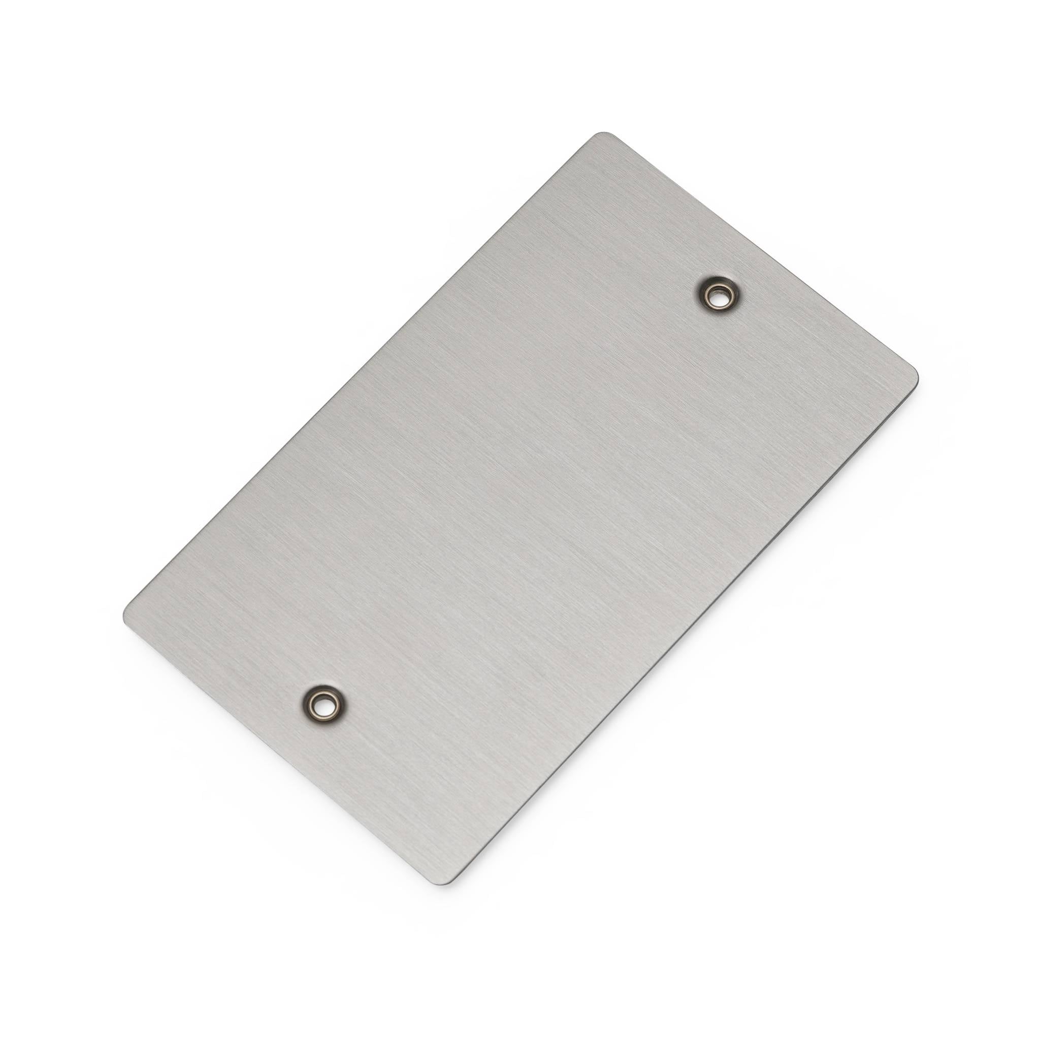 Buster + Punch 2G Blank Wall Plate